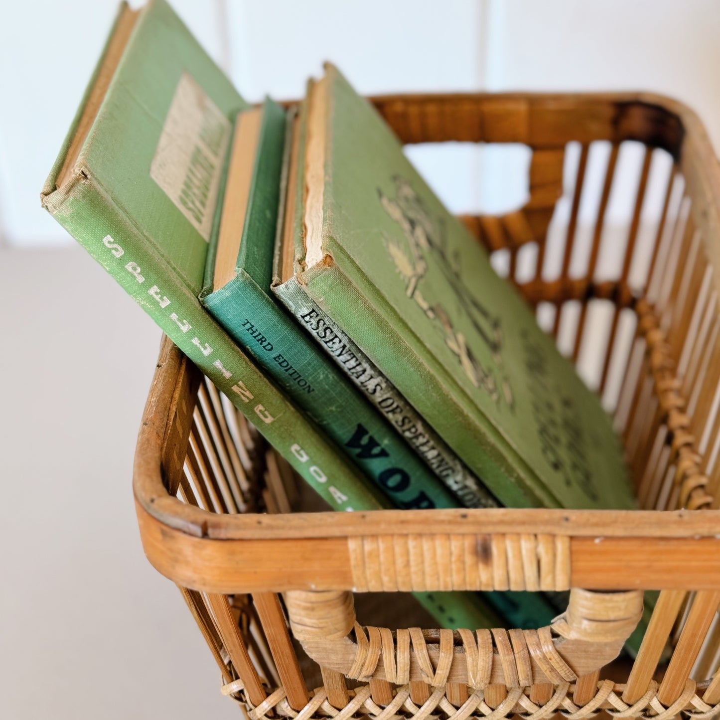 Green Antique and Vintage Spelling School Books, Shabby Book Set