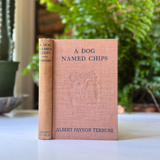 A Dog Named Chips, Albert Payson Terhune 1931 Hardcover