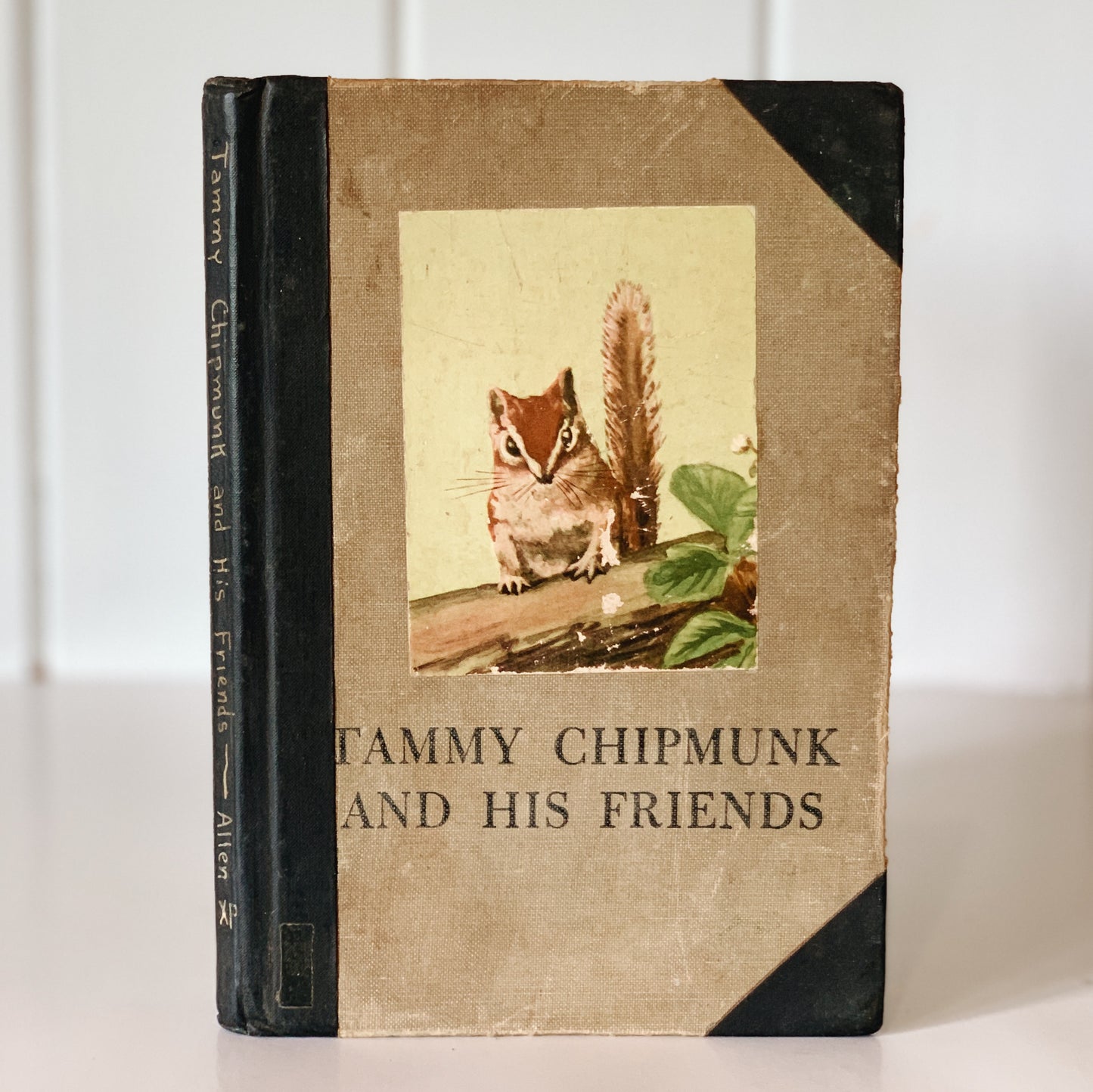 Tammy Chipmunk and His Friends, 1950, Hardcover Animal Story
