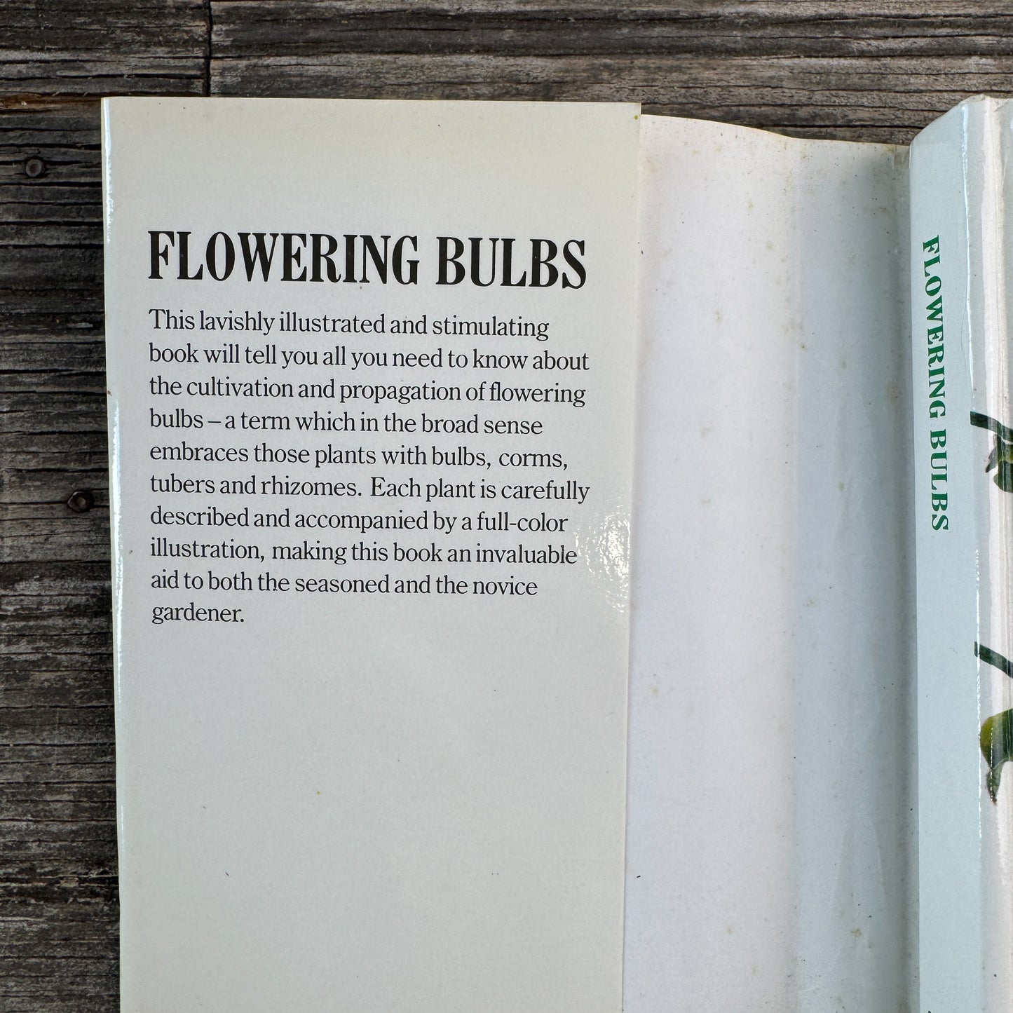 A Concise Guide in Color: Flowering Bulbs, Eva Petrova, 1989