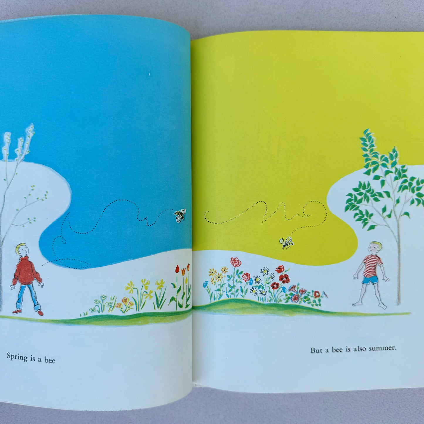 The Year Goes Round by Vasiliu, 1964, Children's Nature Study Book