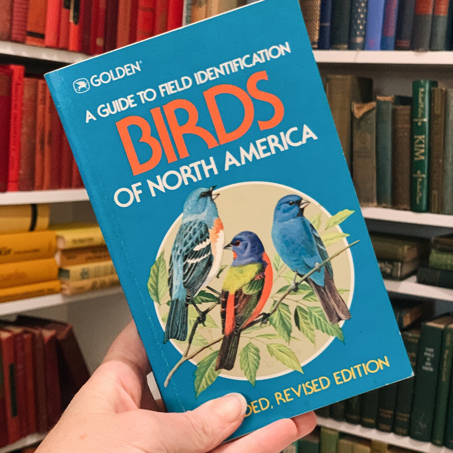 Birds of North America A Golden Guide to Field Identification Paperback Blue 1966
