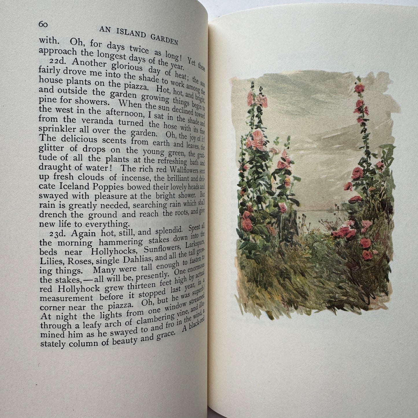 An Island Garden, Celia Thaxter, Slipcased Edition, 1988