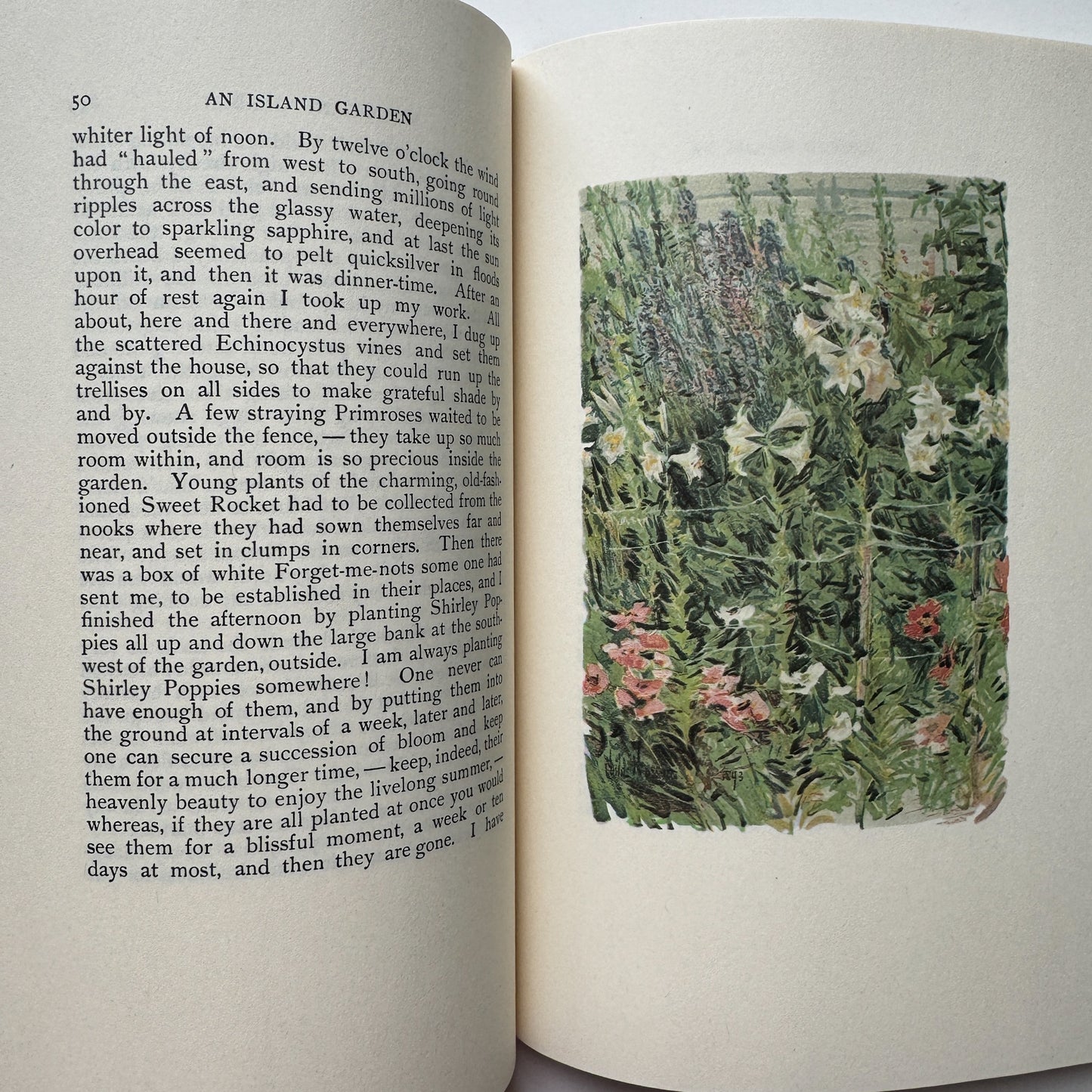 An Island Garden, Celia Thaxter, Slipcased Edition, 1988