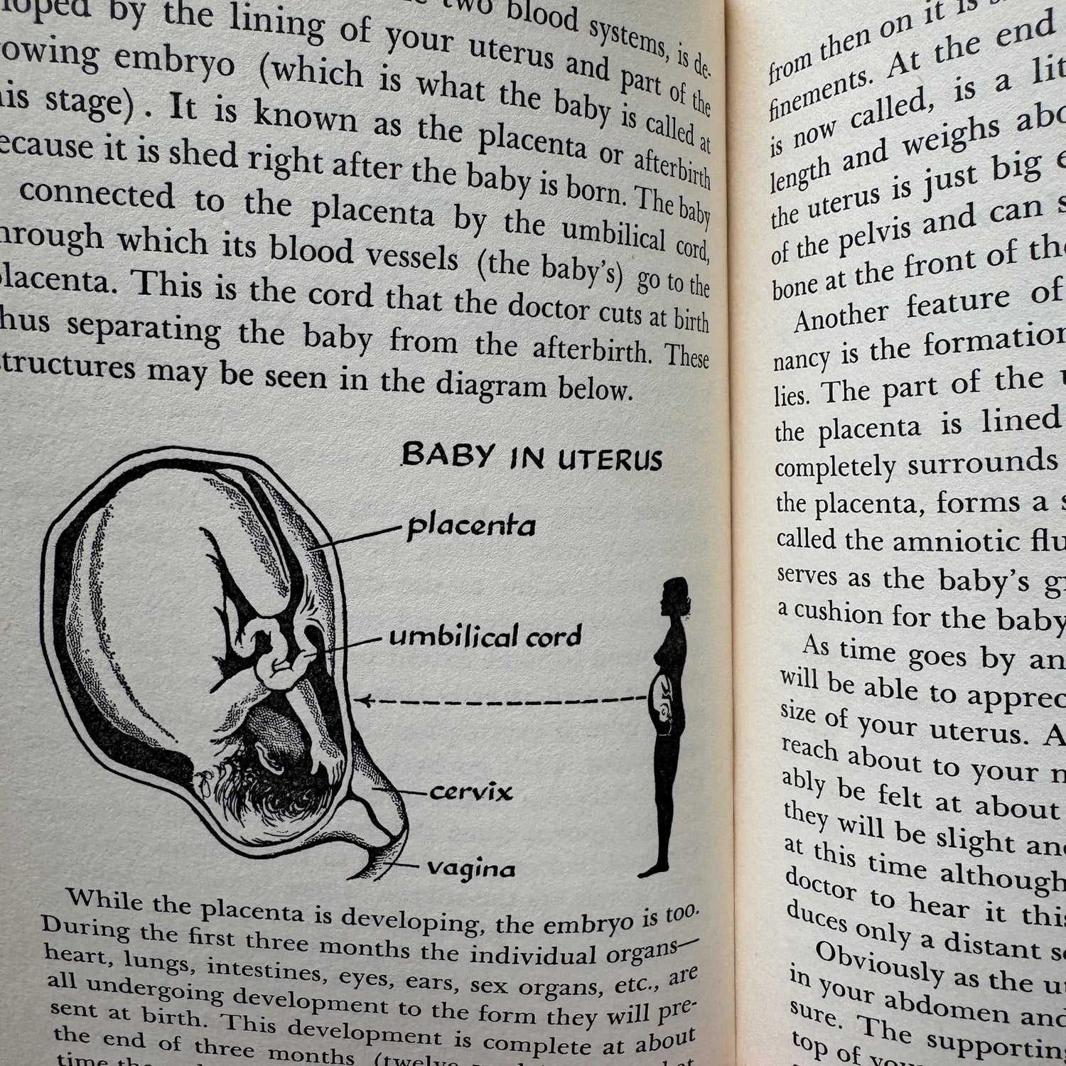 Book open to a page with text and an illustration of a baby in the uterus.