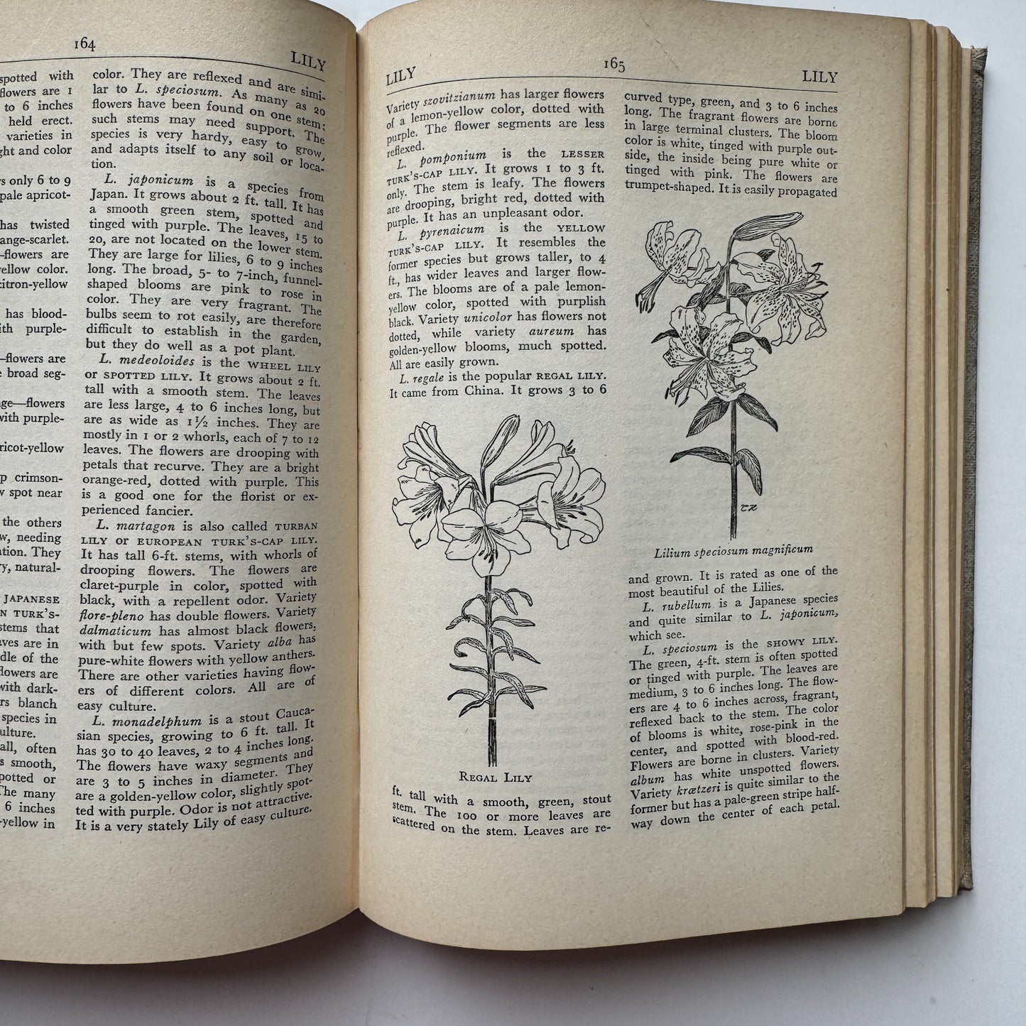The Flower Encyclopedia and Gardener's Guide, 1948 Hardcover
