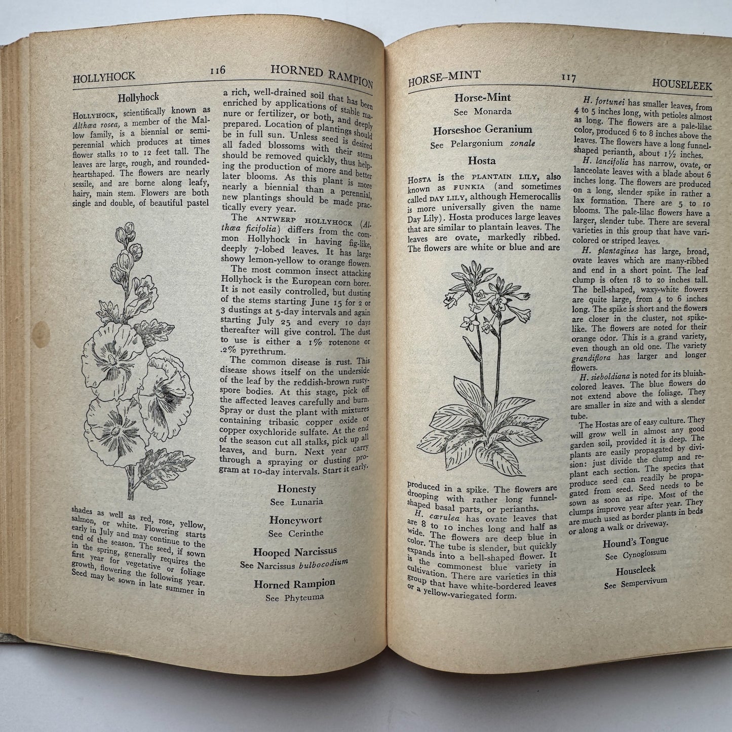 The Flower Encyclopedia and Gardener's Guide, 1948 Hardcover