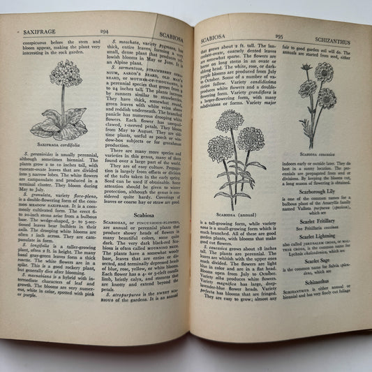The Flower Encyclopedia and Gardener's Guide, 1948 Hardcover