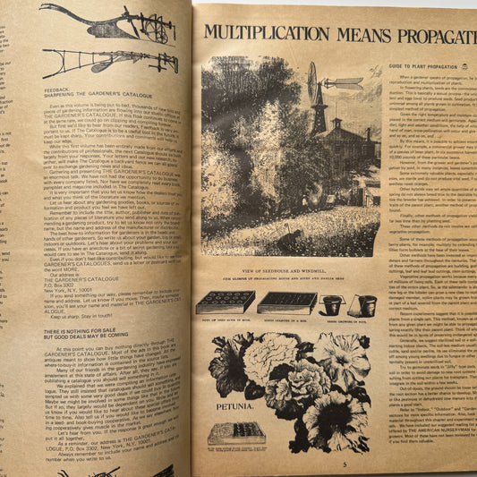 Open book with text and illustrations on a brown background