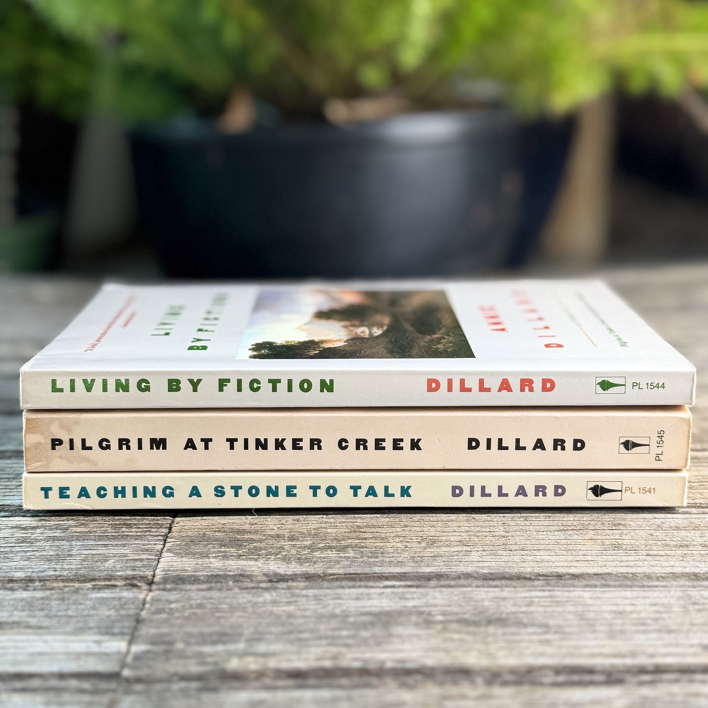 Teaching a Stone to Talk, Pilgrim at Tinker Creek, and Living by Fiction, Annie Dillard, 1988, First Harper Colophon Editions, Set of 3
