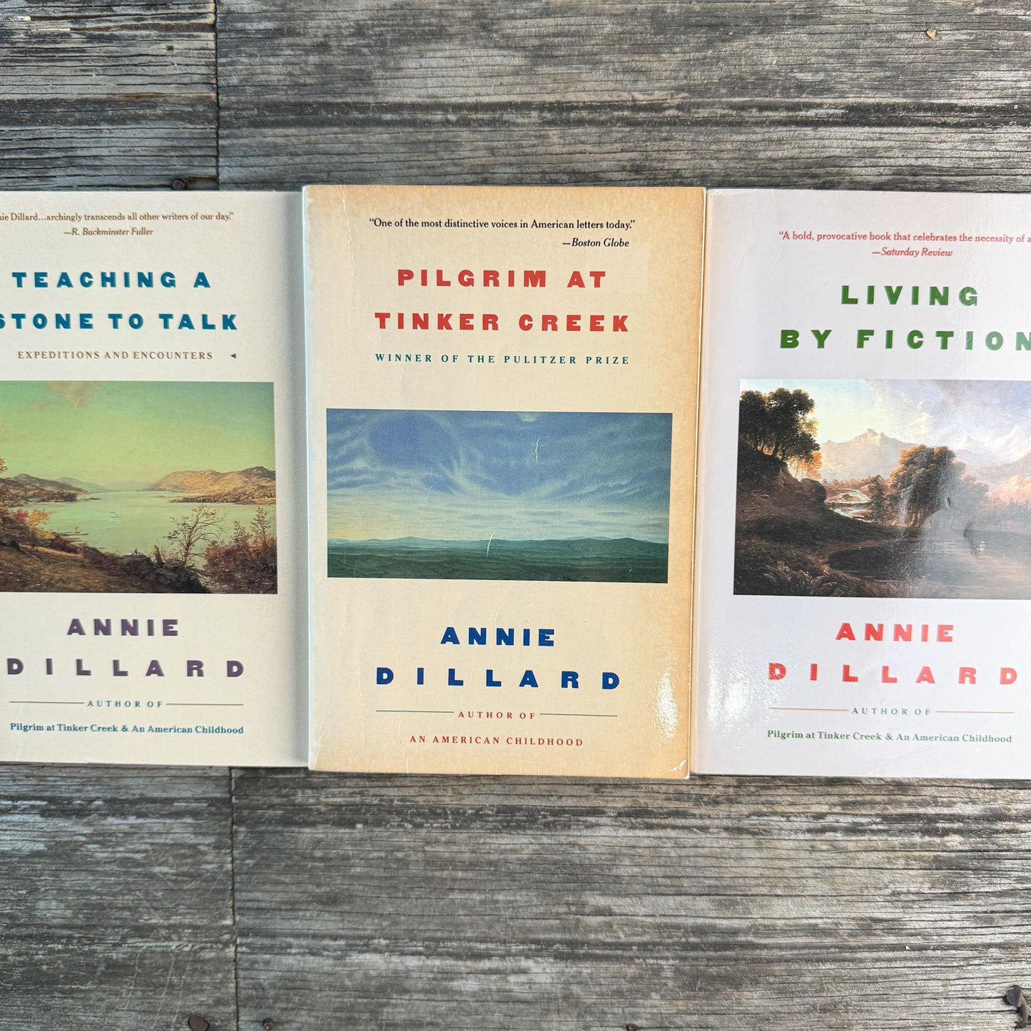 Teaching a Stone to Talk, Pilgrim at Tinker Creek, and Living by Fiction, Annie Dillard, 1988, First Harper Colophon Editions, Set of 3