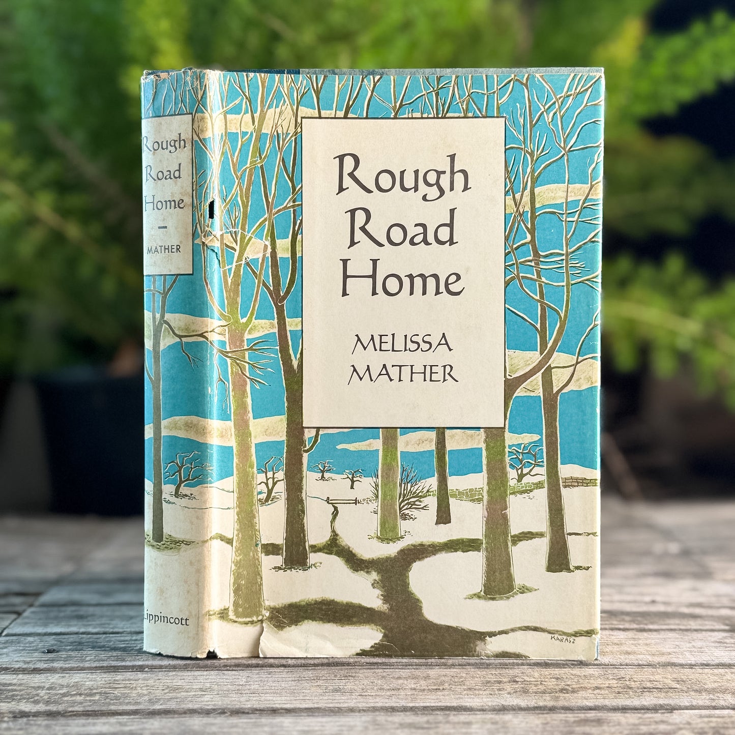 Rough Road Home, Domestic Fiction, Melissa Mather, 1958, First Edition