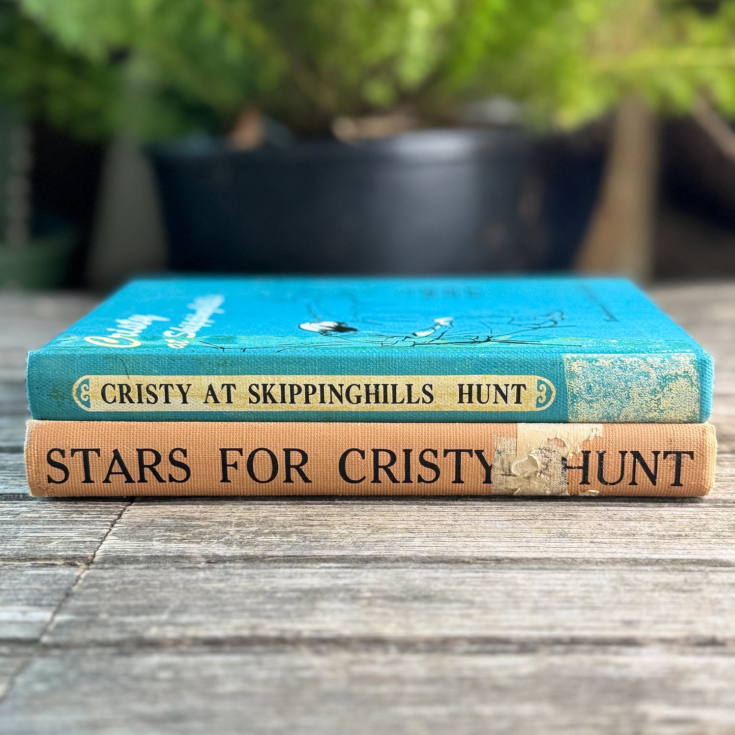 Set of Two Mabel Leigh Hunt Books: Cristy at Skippinghills and Stars for Cristy, 1958 and 1956