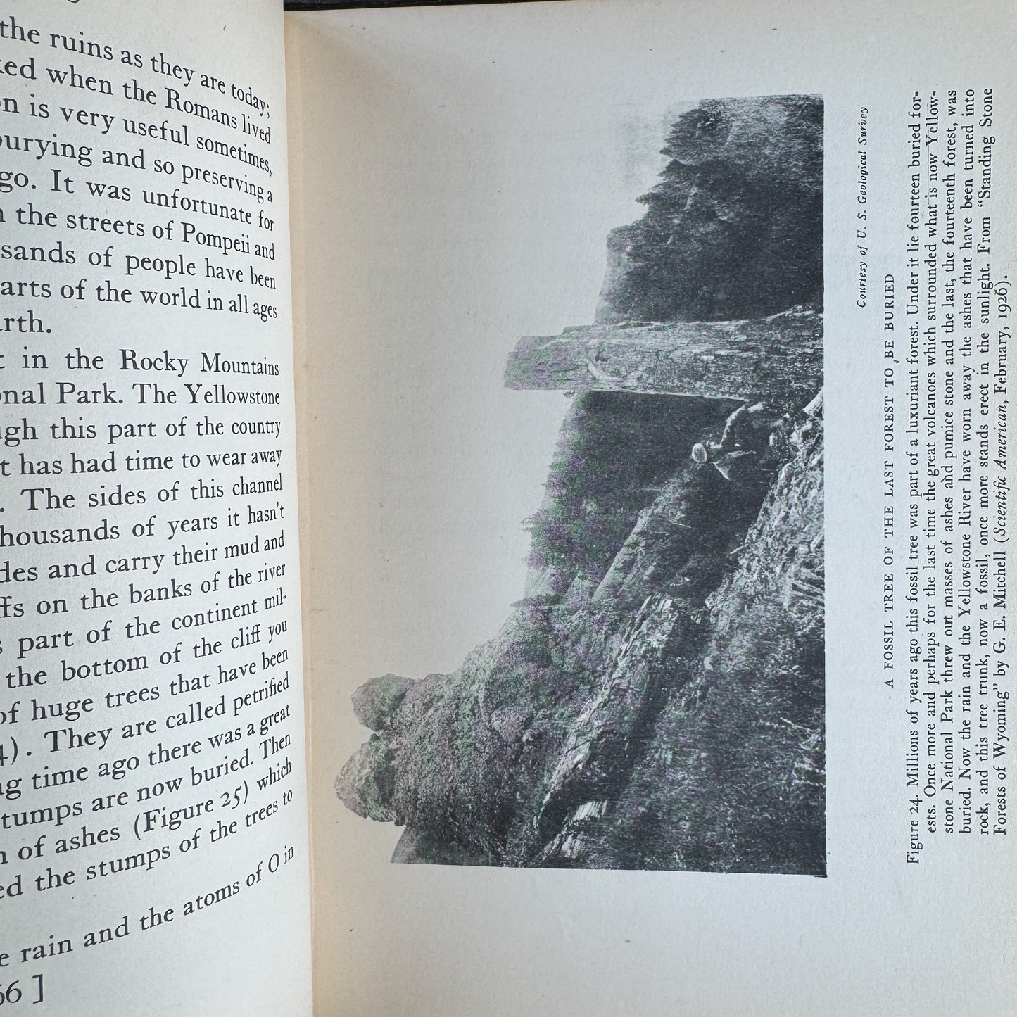 The Earth for Sam: The Story of Mountains, Rivers, Dinosaurs and Men, W. Maxwell Reed