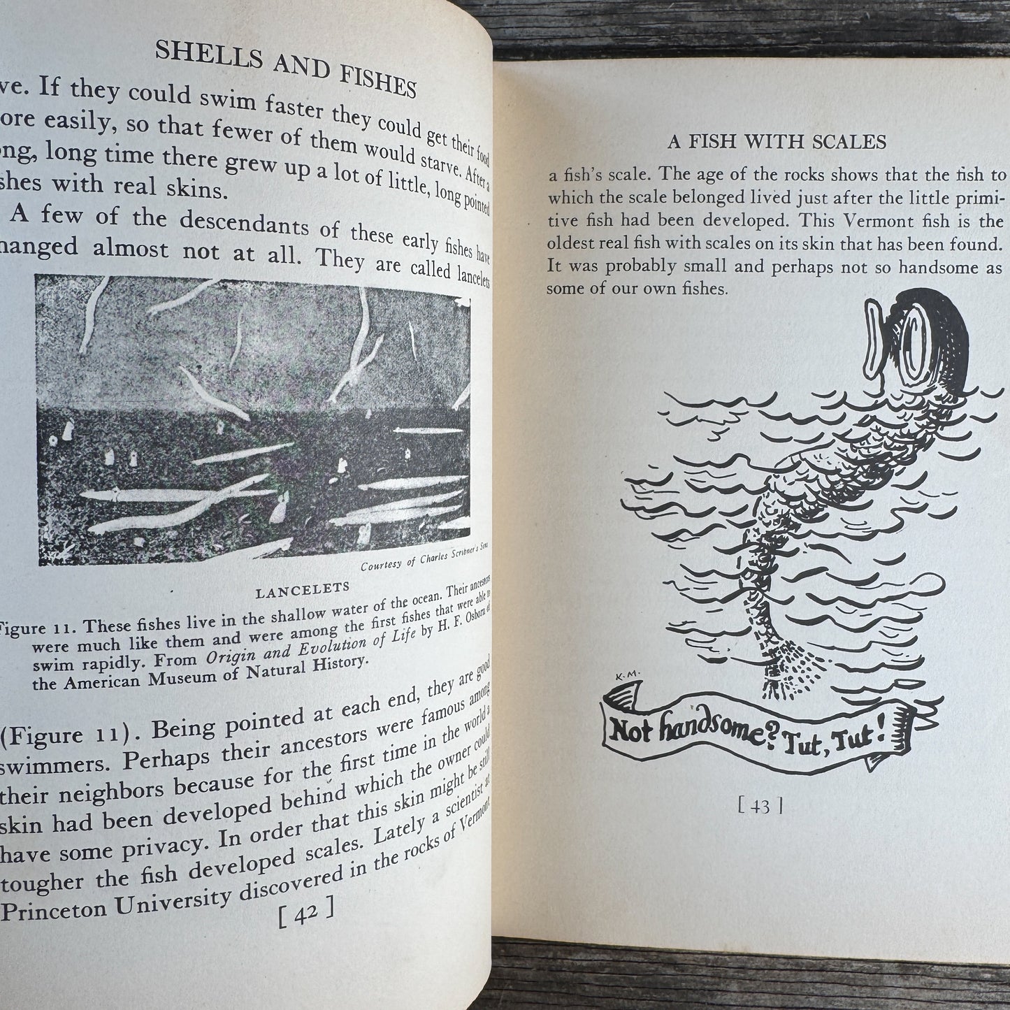 The Earth for Sam: The Story of Mountains, Rivers, Dinosaurs and Men, W. Maxwell Reed
