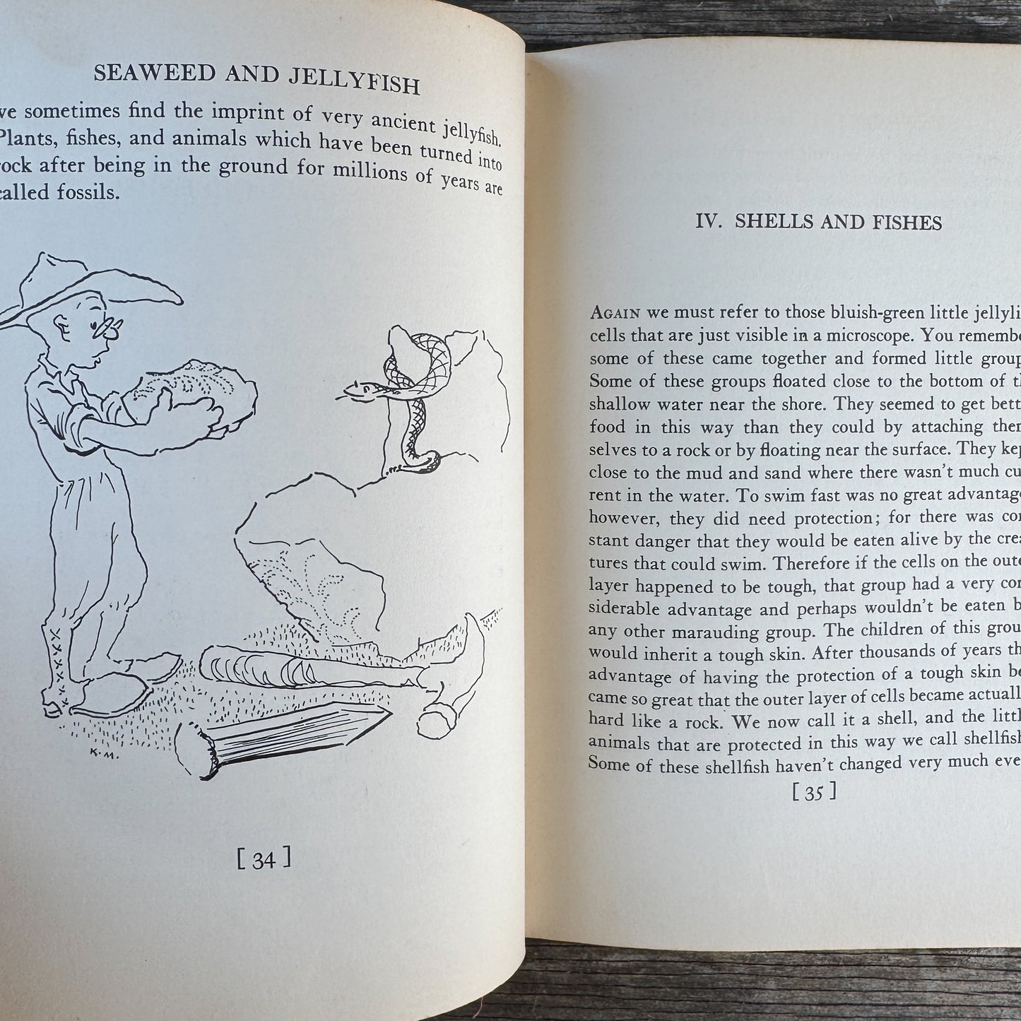 The Earth for Sam: The Story of Mountains, Rivers, Dinosaurs and Men, W. Maxwell Reed