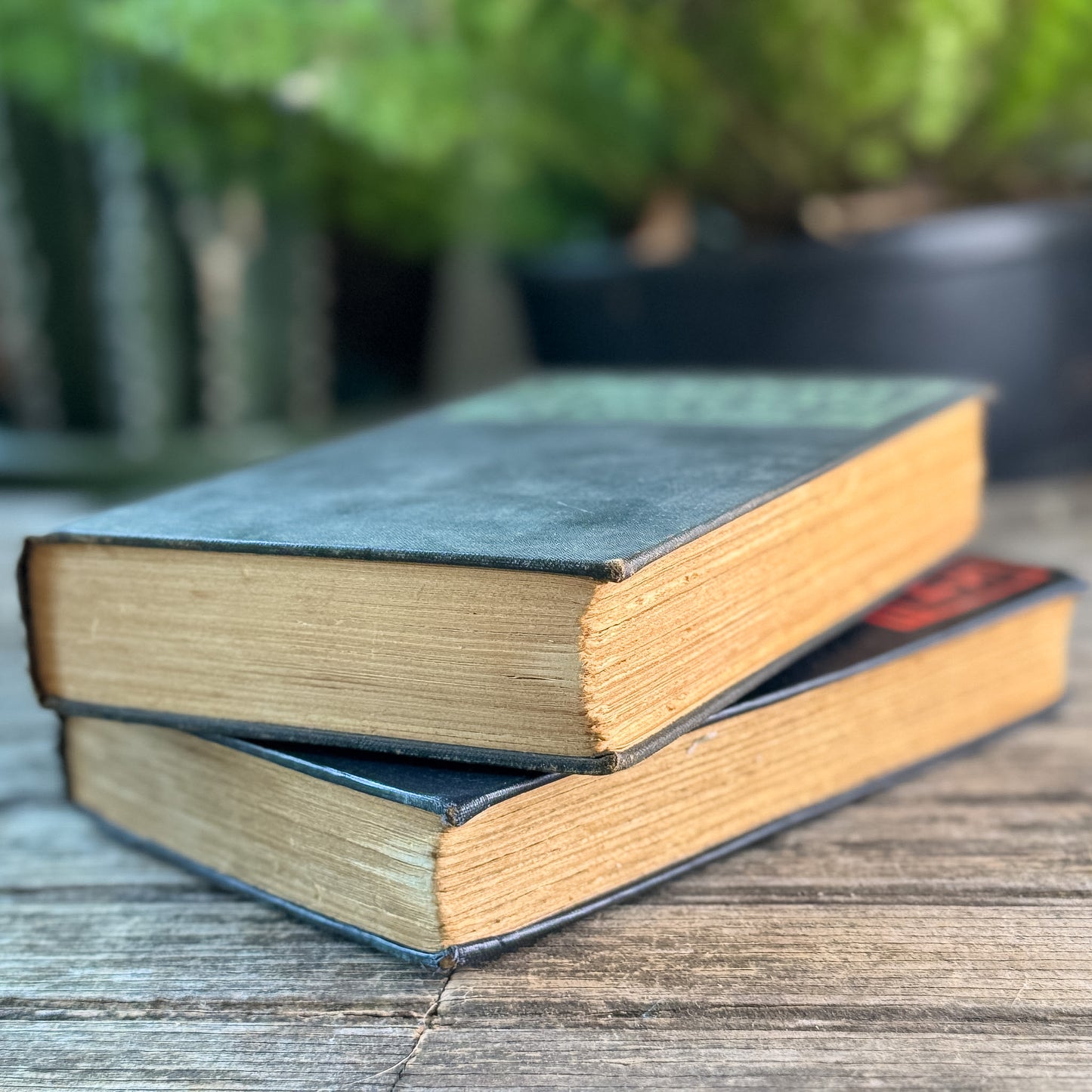 Set of 2 S.S. Van Dine Mystery Novels: The Winter Murder Case (1939) and The Canary Murder Case (1927)