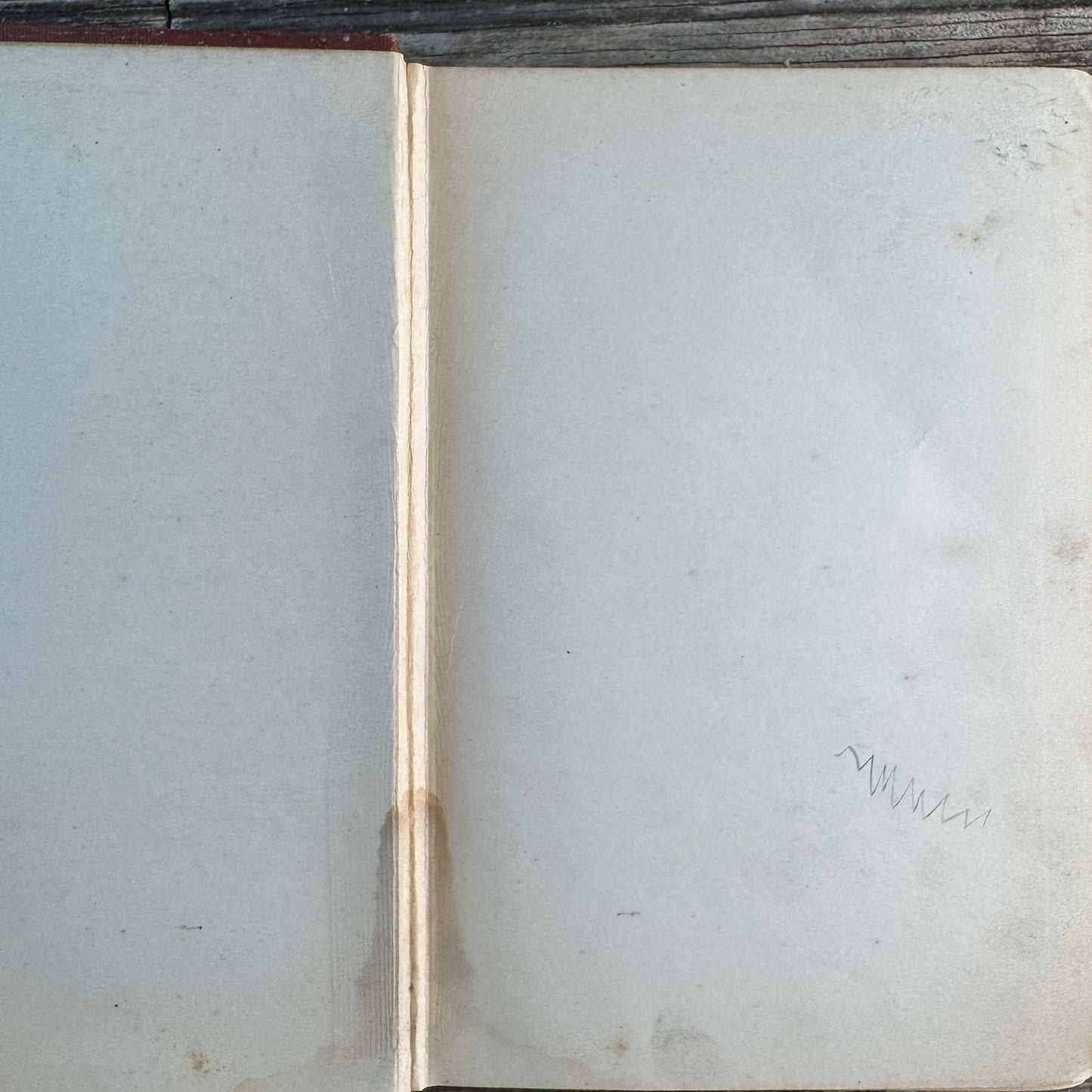 The Fascinating Mrs. Halton, Edwardian Domestic Fiction, E.F. Benson, 1910