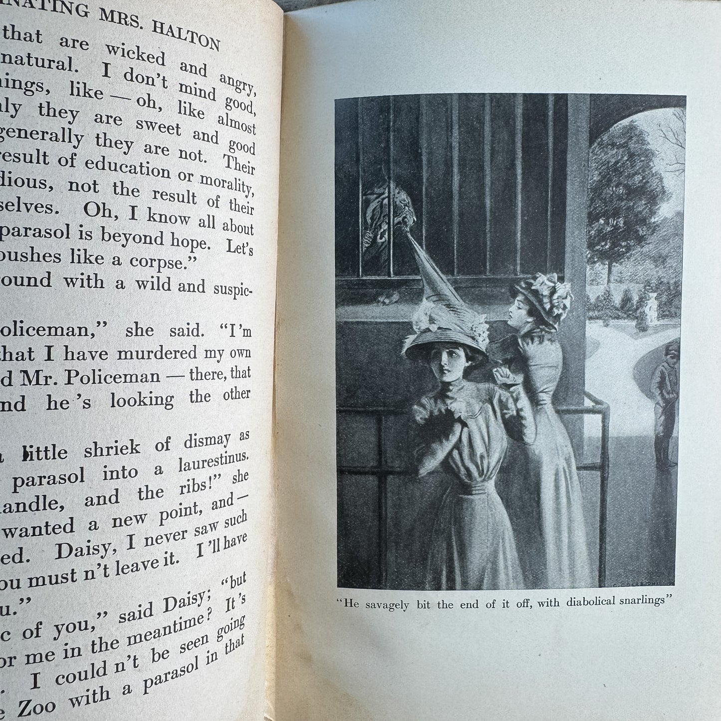 The Fascinating Mrs. Halton, Edwardian Domestic Fiction, E.F. Benson, 1910