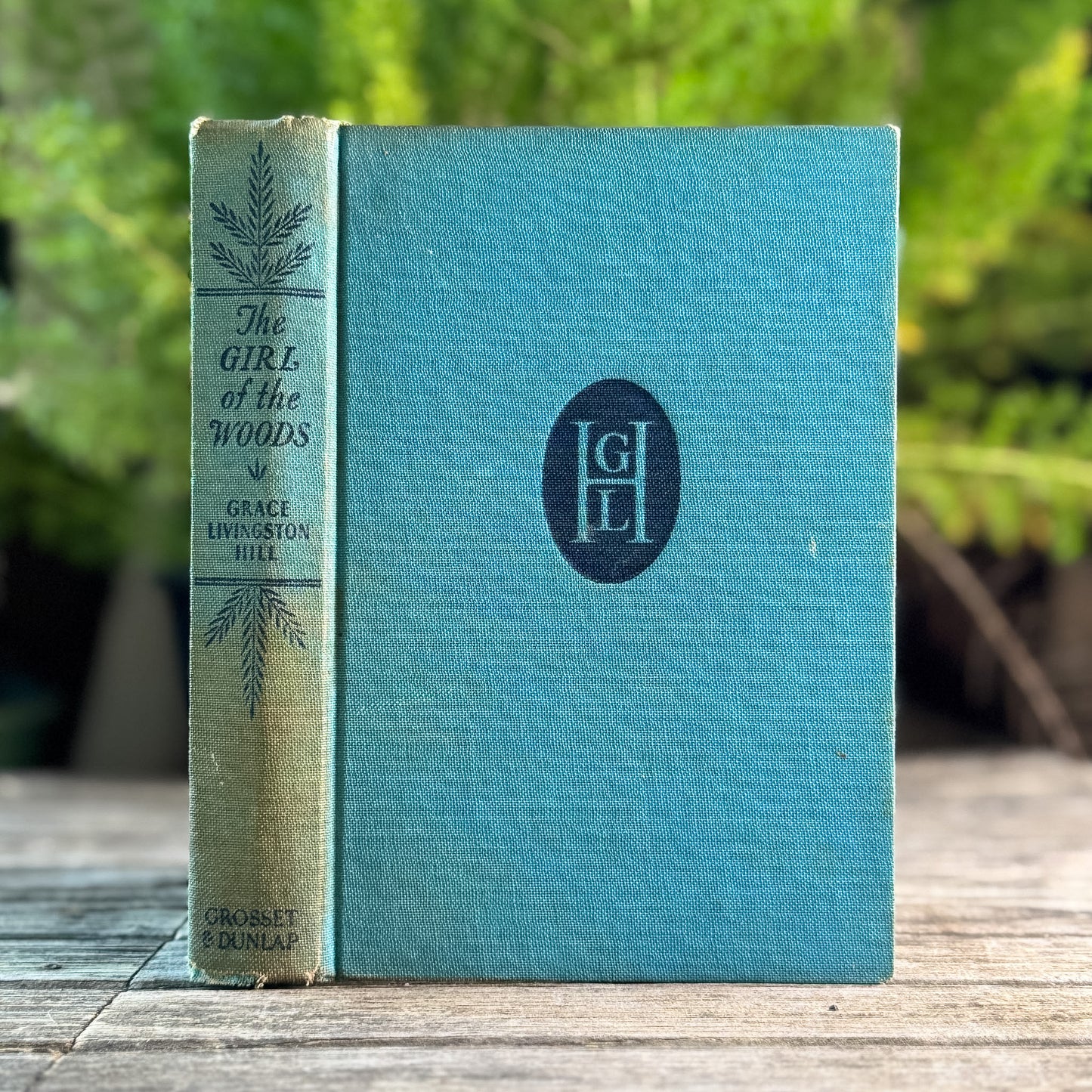 The Girl of the Woods, Christian Romance, Grace Livingston Hill, 1942