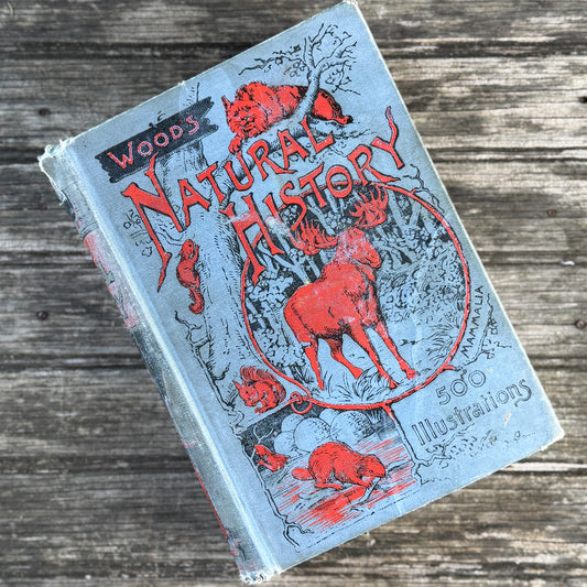 Wood's Natural History, Rev. J.G. Wood, First American Edition, Antique Hardcover