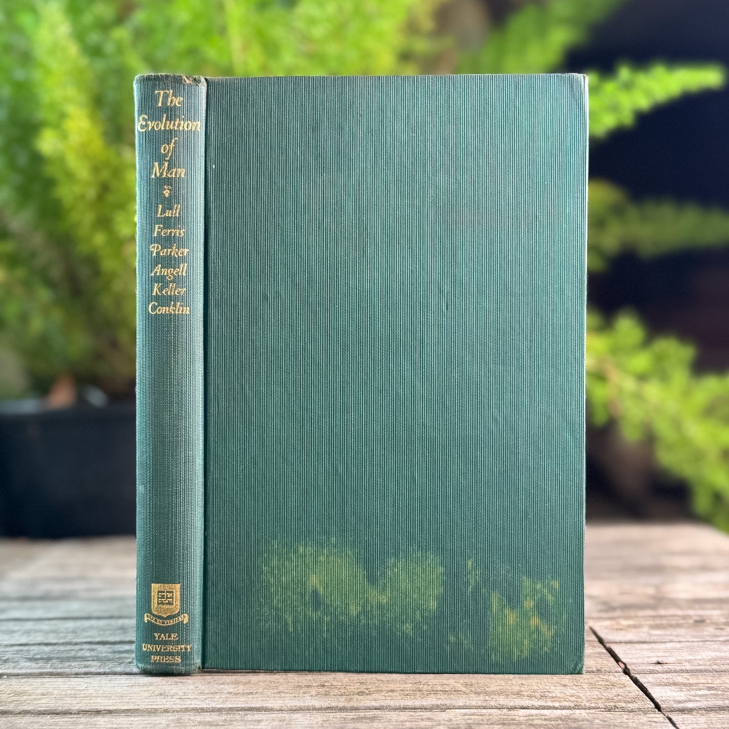 The Evolution of Man, R. S. Lull and Others, 1922, Yale University Press, Lectures Before the Yale Chapter of Sigma Chi 1921-1922