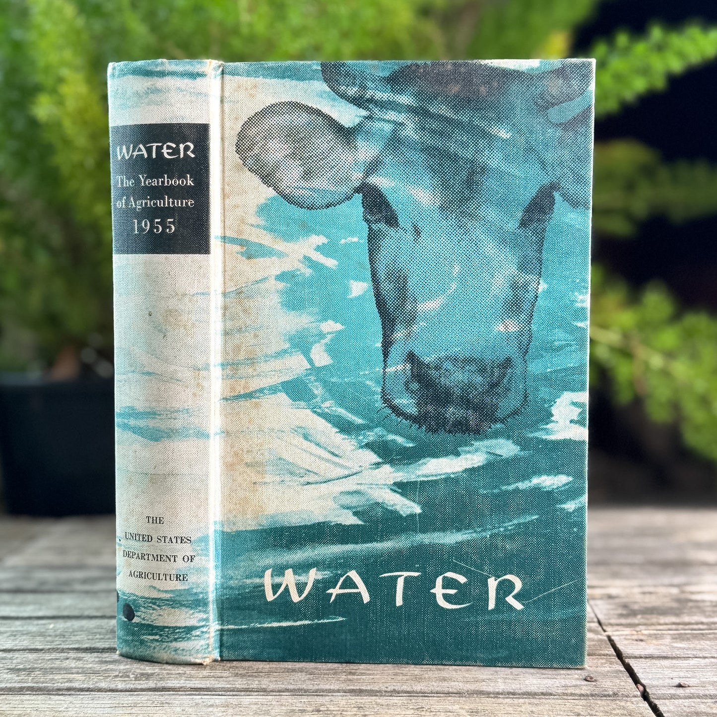 Water: The Yearbook of Agriculture, United States Department of Agriculture, 1955