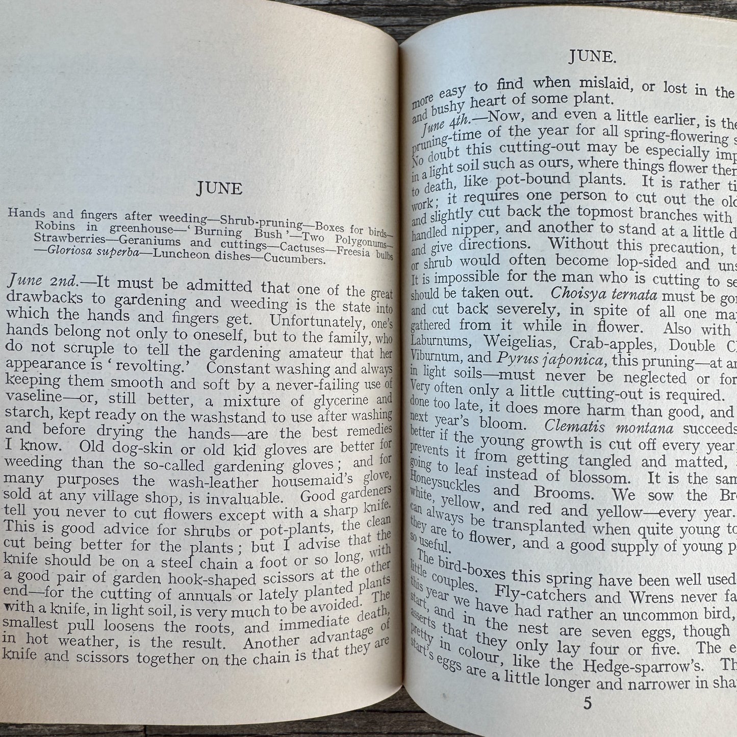 Pot-Pourri from a Surrey Garden, Mrs. C. W. Earle, Decorative Blue Hardcover