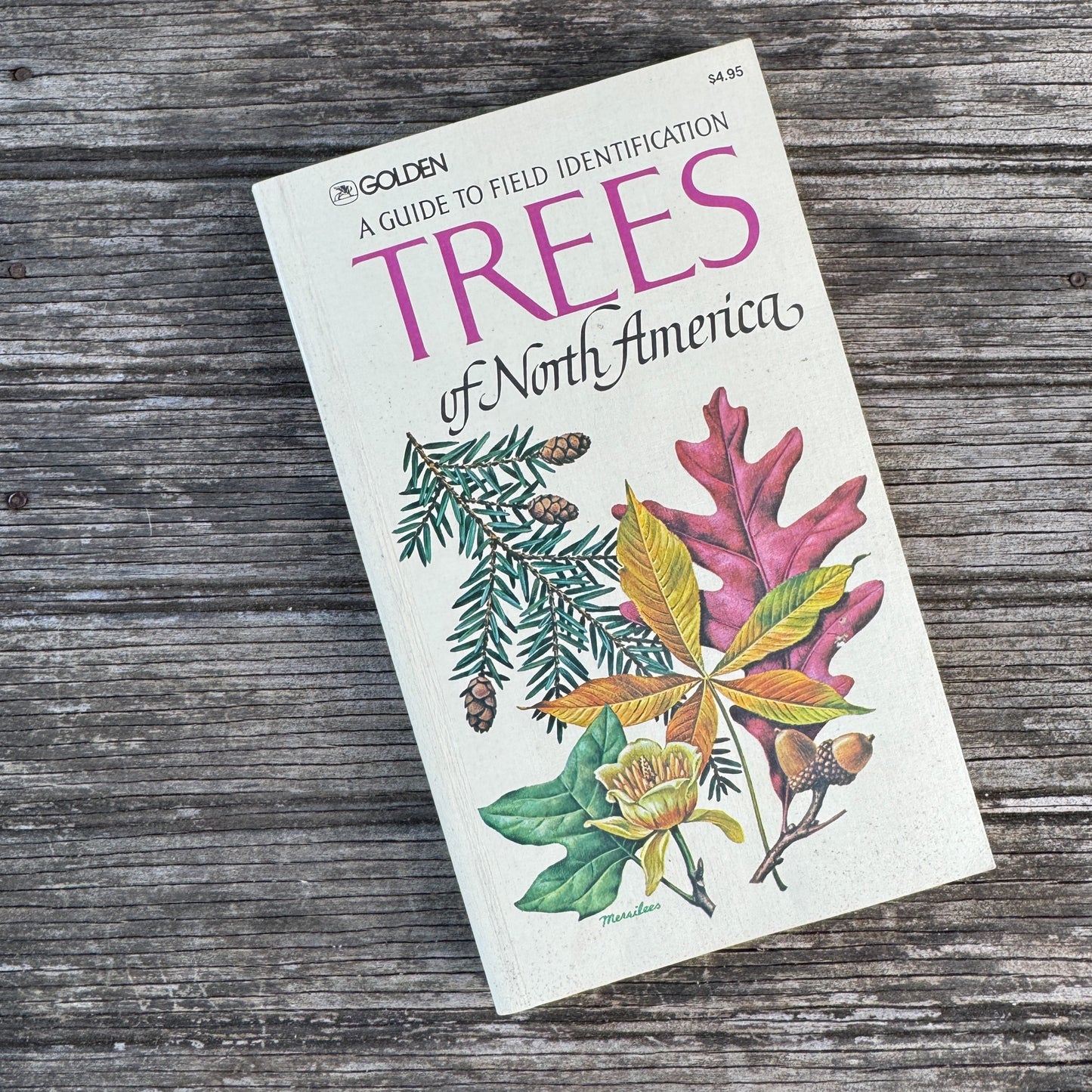 Trees of North America, A Golden Guide Paperback, Vintage 1968