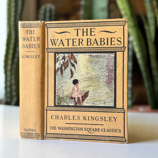 The Water Babies, Charles Kingsley, Antique Washington Square Classics Hardcover