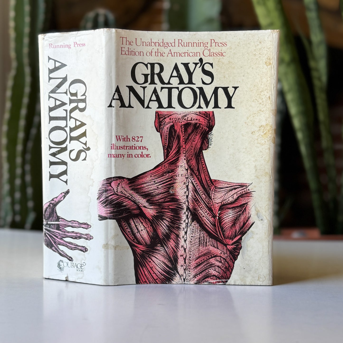 Gray's Anatomy, Descriptive and Surgical, 1974 Reprint of 1901 Edition