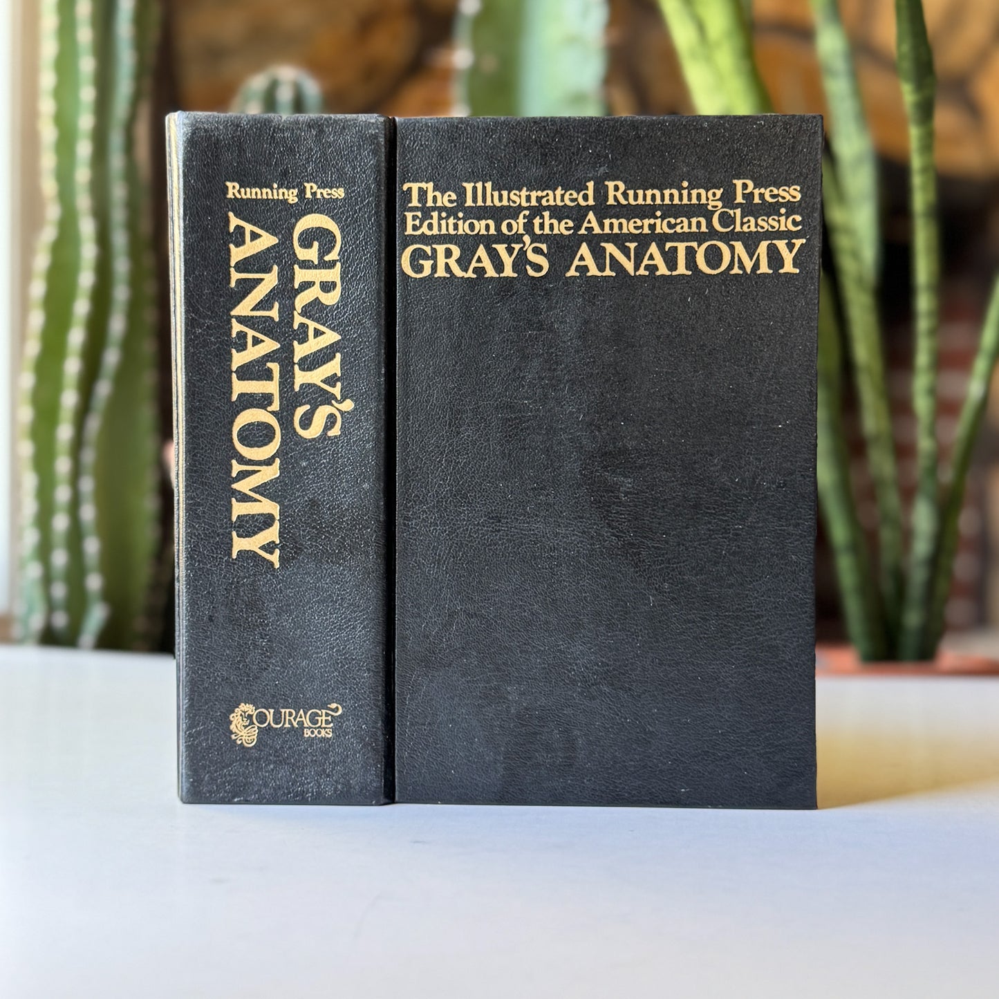 Gray's Anatomy, Descriptive and Surgical, 1974 Reprint of 1901 Edition