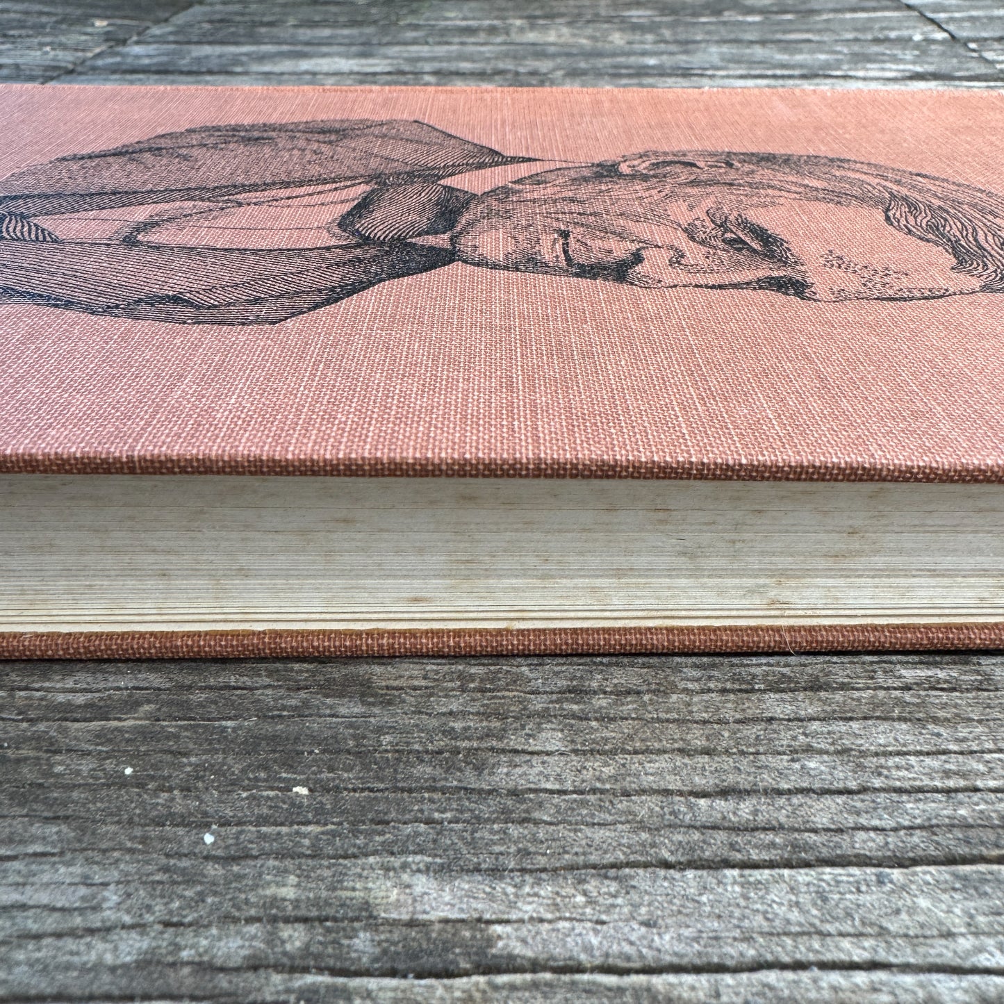 Trust Thyself: A Life of Ralph Waldo Emerson for Young People
