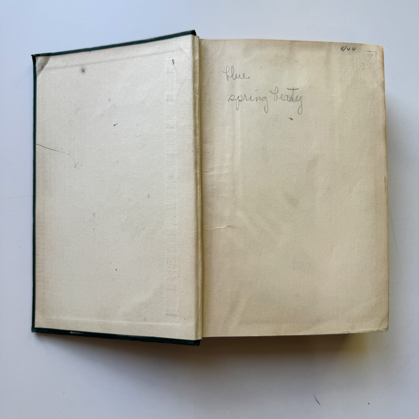 Gray's New Manual of Botany, Seventh Edition, 1908, Hardcover