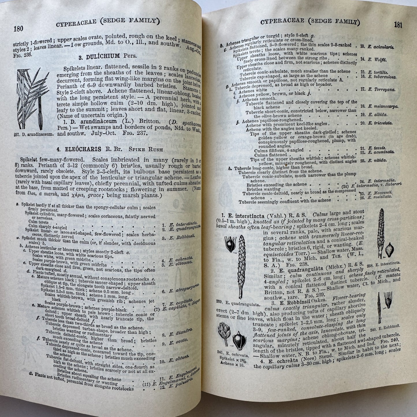 Gray's New Manual of Botany, Seventh Edition, 1908, Hardcover