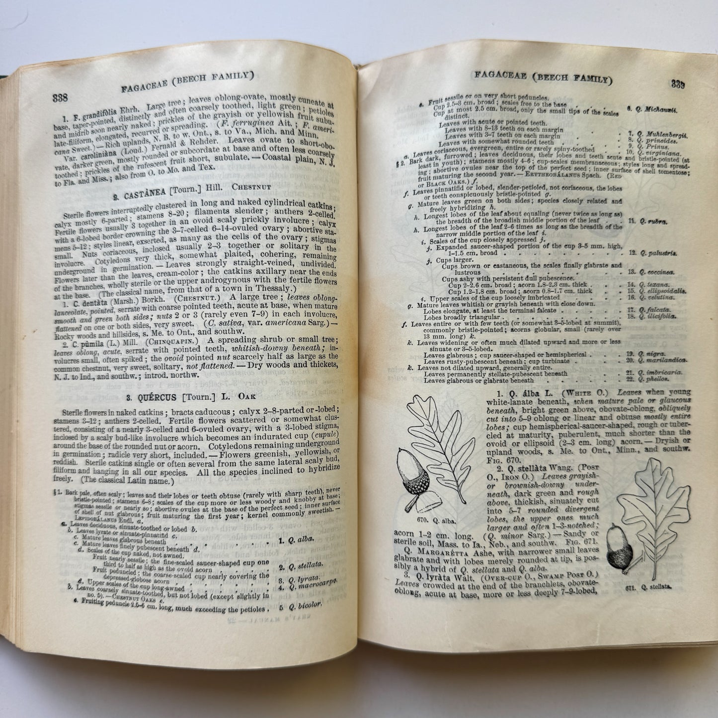 Gray's New Manual of Botany, Seventh Edition, 1908, Hardcover