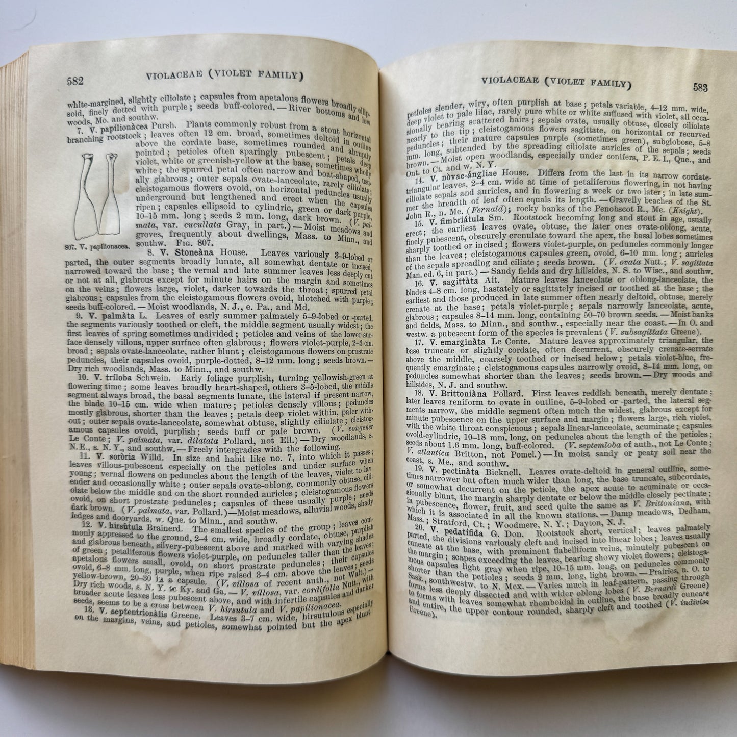 Gray's New Manual of Botany, Seventh Edition, 1908, Hardcover