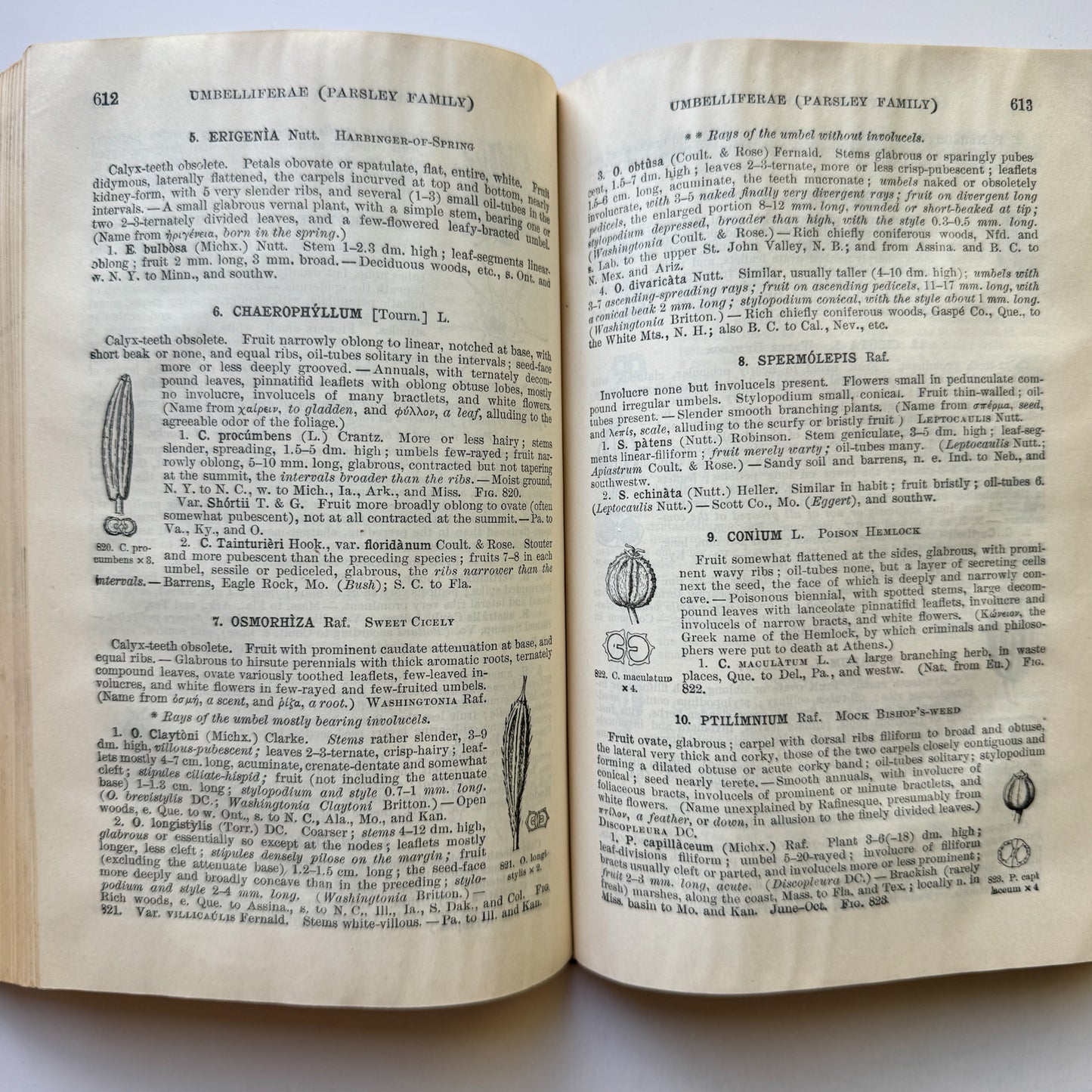 Gray's New Manual of Botany, Seventh Edition, 1908, Hardcover