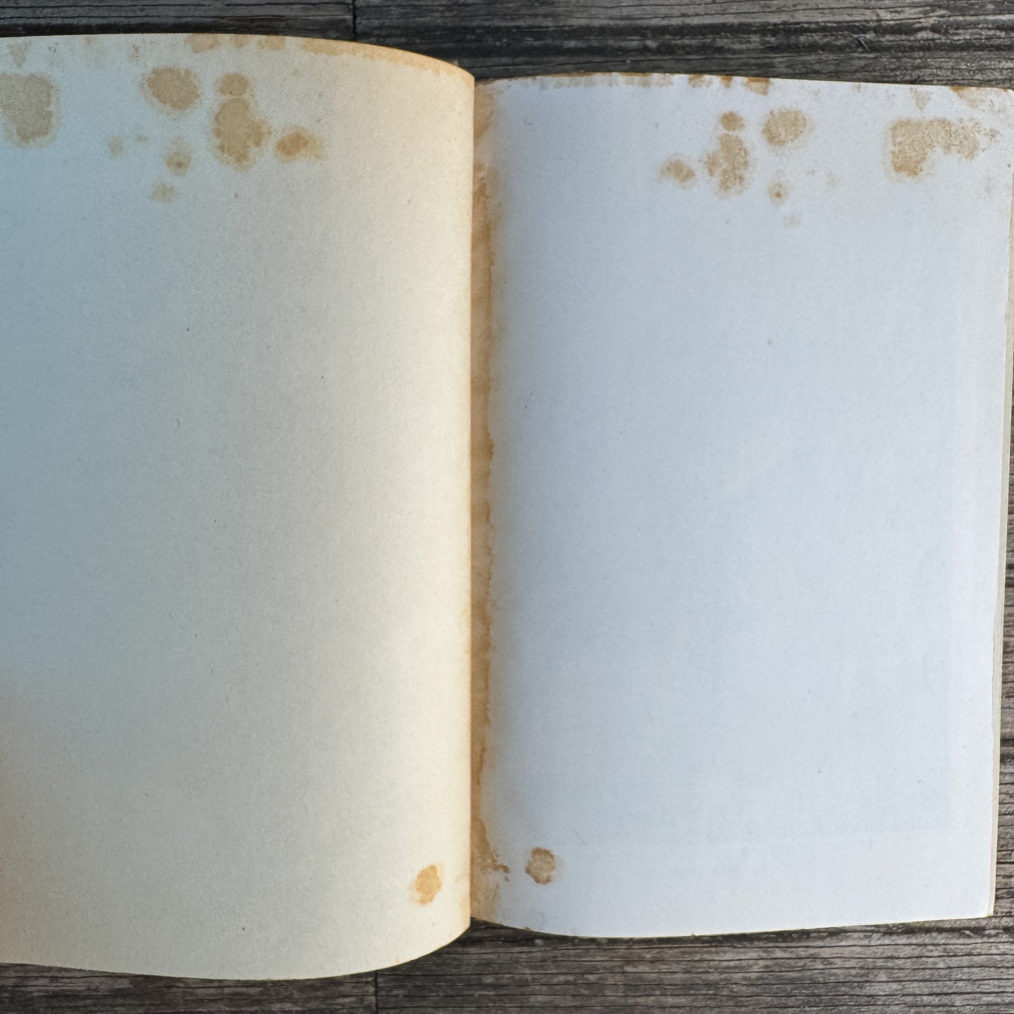 The Pilgrim's Progress, John Bunyan, 1933 Illustrated Edition