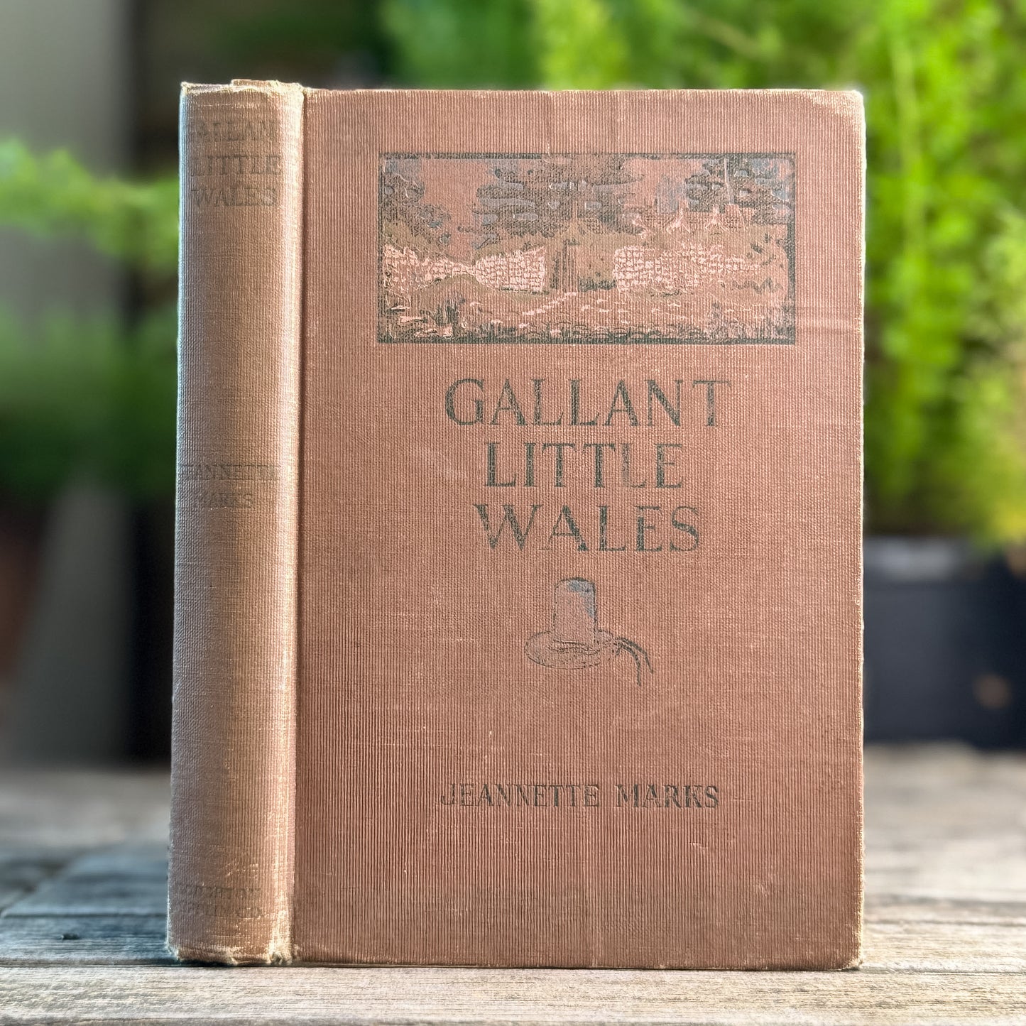 Gallant Little Wales, Jeannette Marks, 1912