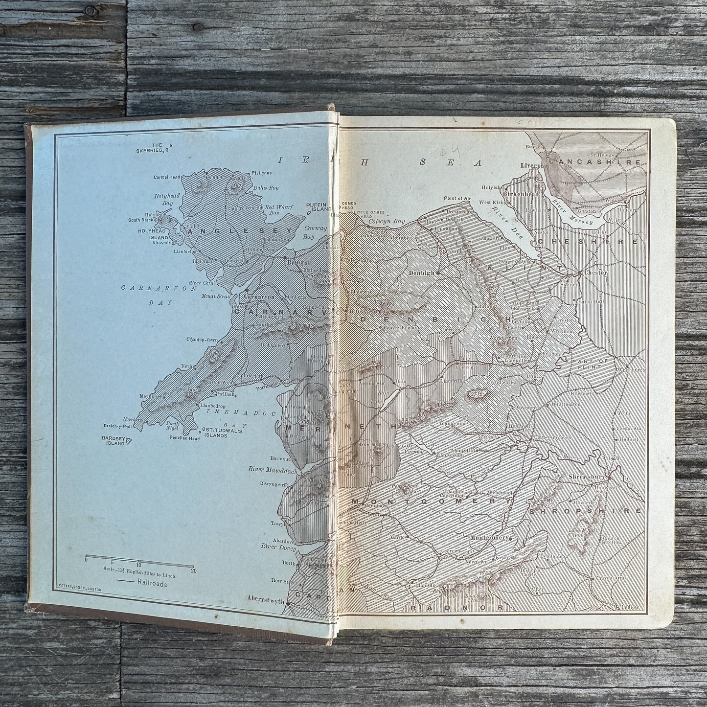 Gallant Little Wales, Jeannette Marks, 1912
