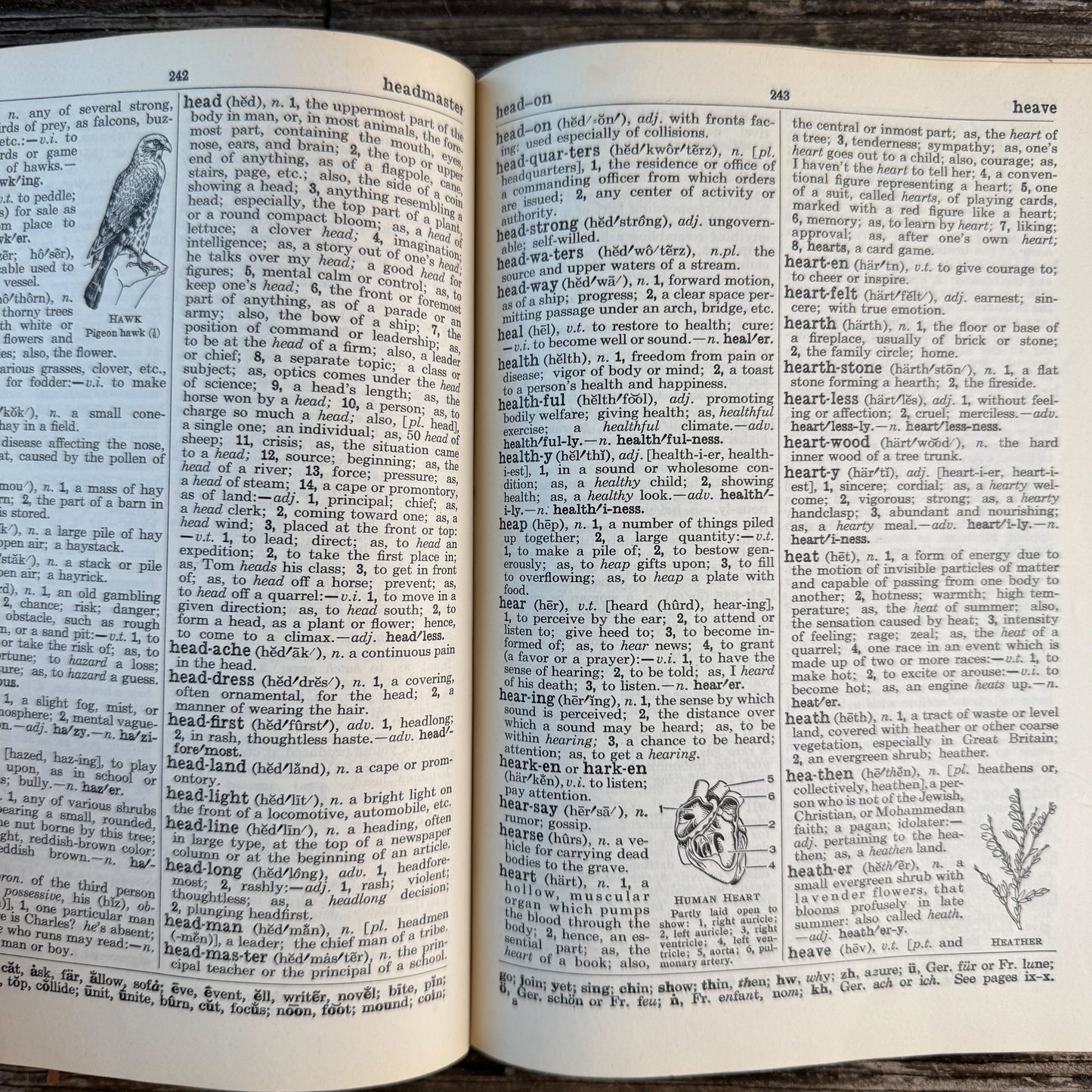 The Winston Dictionary for Children, 1953