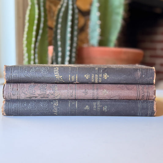 The Works of Victor Hugo, Illustrated, Partial Set, Antique Collier Brown Oversized Hardcovers
