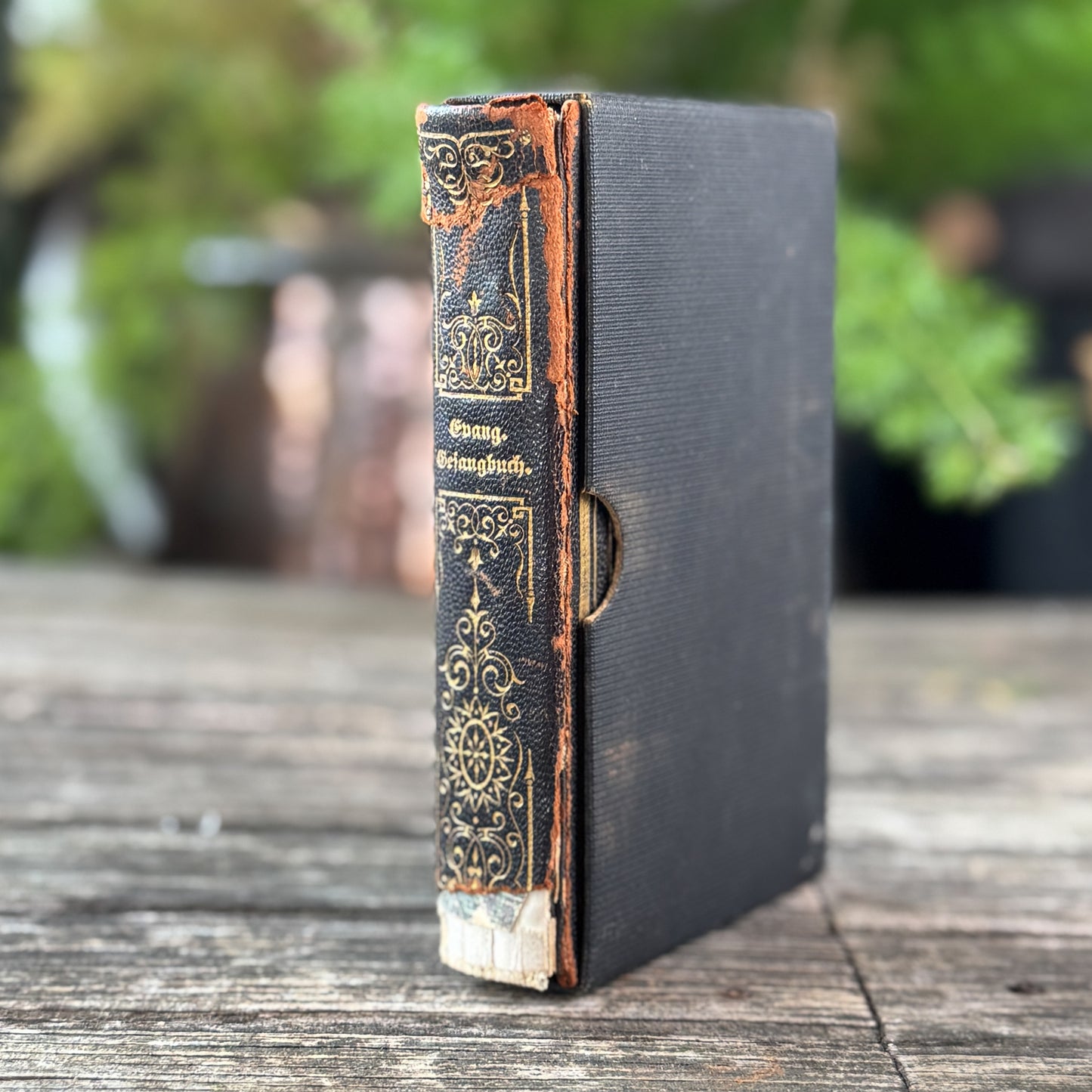Antique German Evangelical Hymnal, Evangelisches Gesangbuch, Pocket-Sized Slipcased Book, 1899