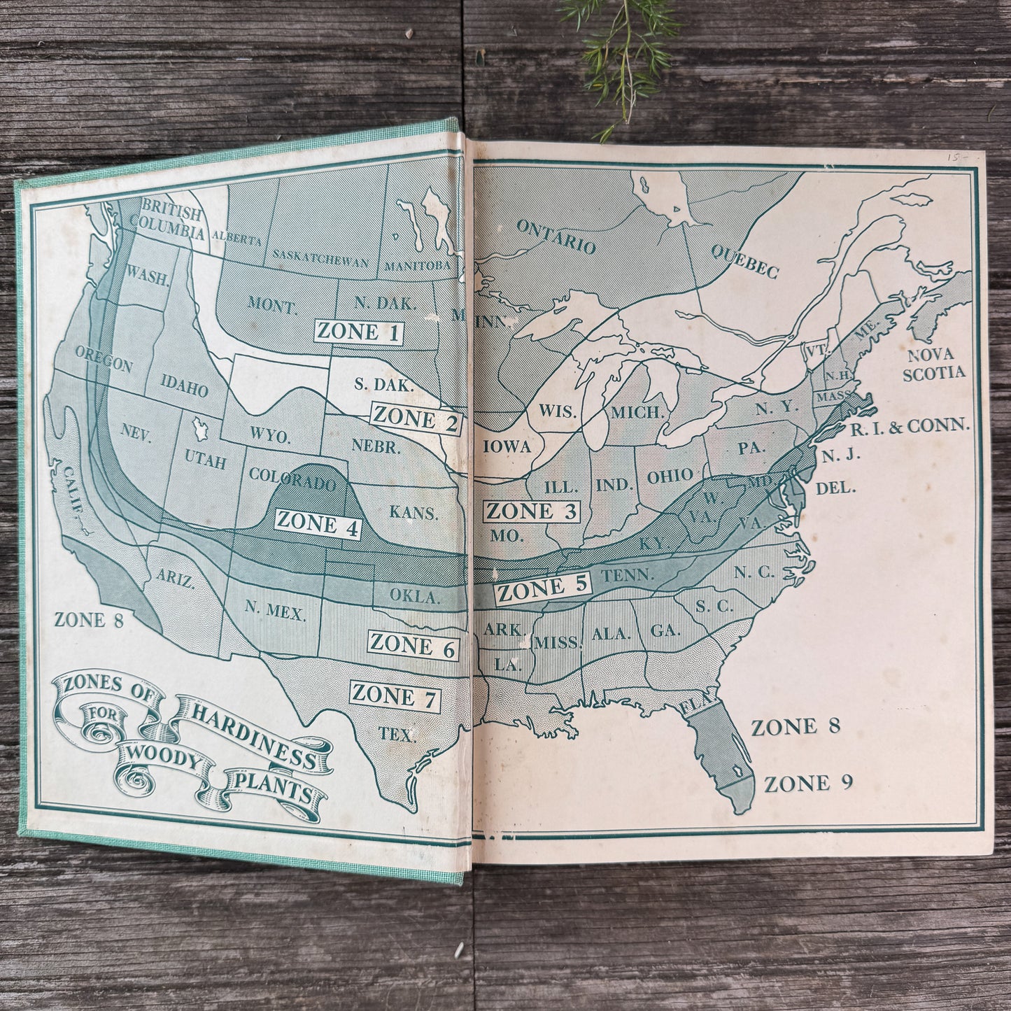 The Garden Dictionary, Norman Taylor, 1938