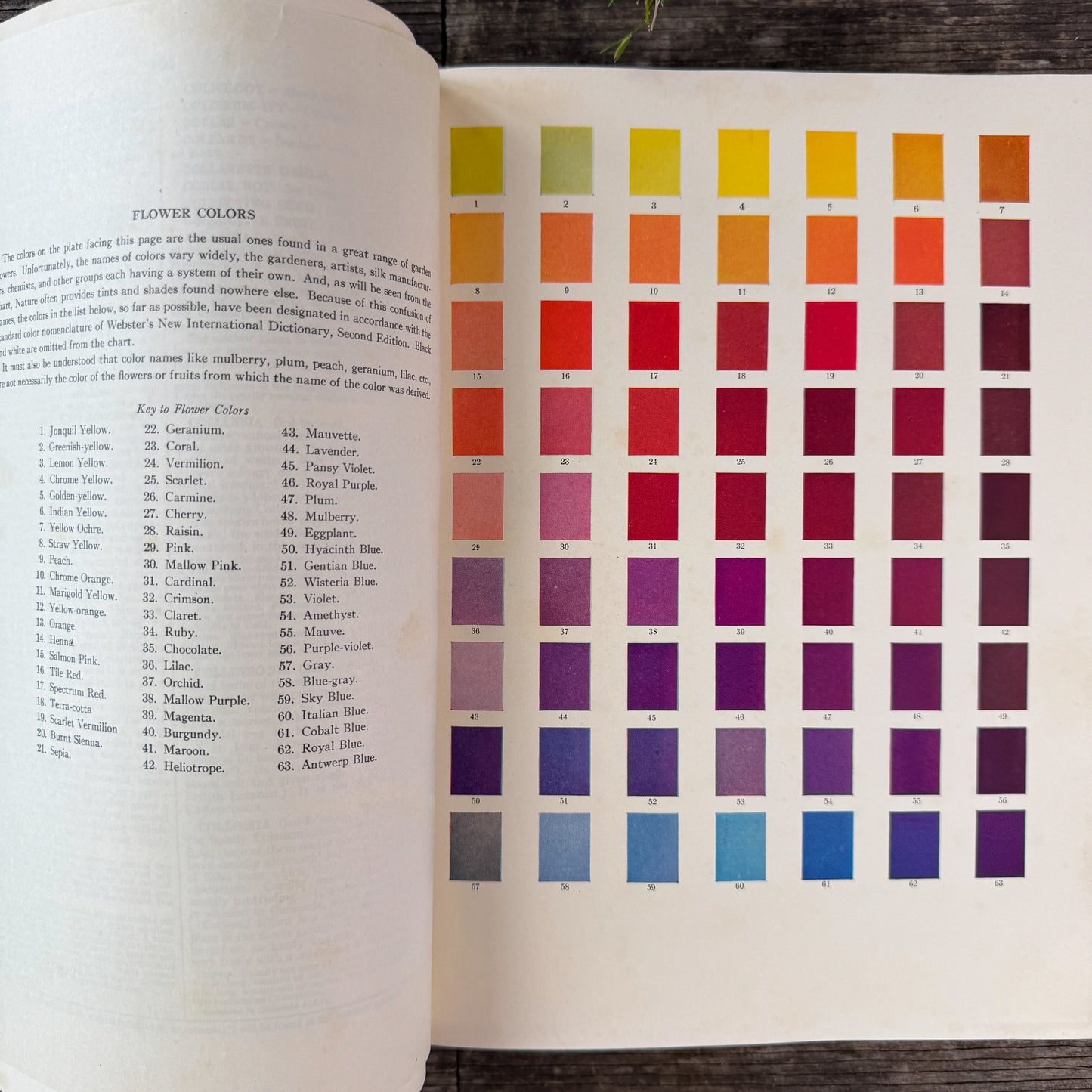 The Garden Dictionary, Norman Taylor, 1938