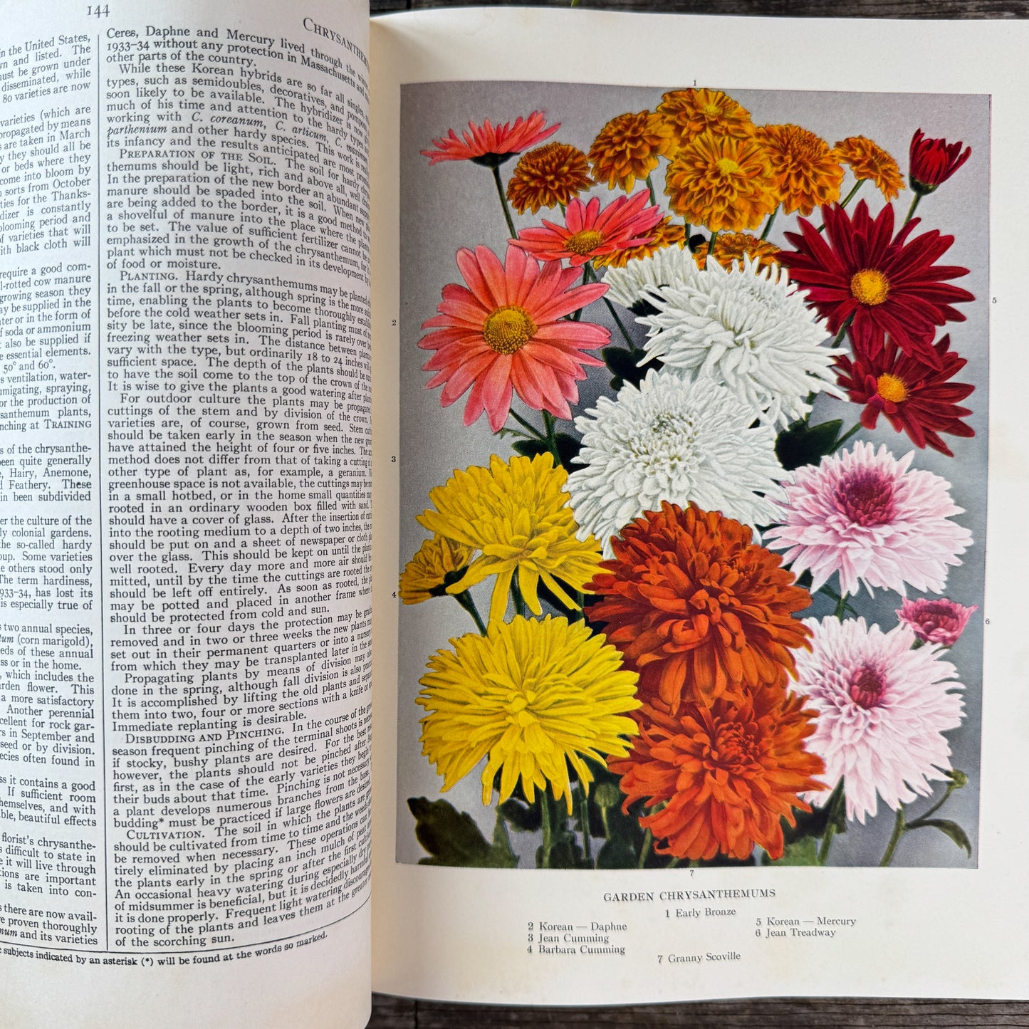 The Garden Dictionary, Norman Taylor, 1938