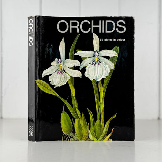 Orchids: 56 Plates in Colour, 1972, J. Oplt, J. Kaplicka, Botanical Art