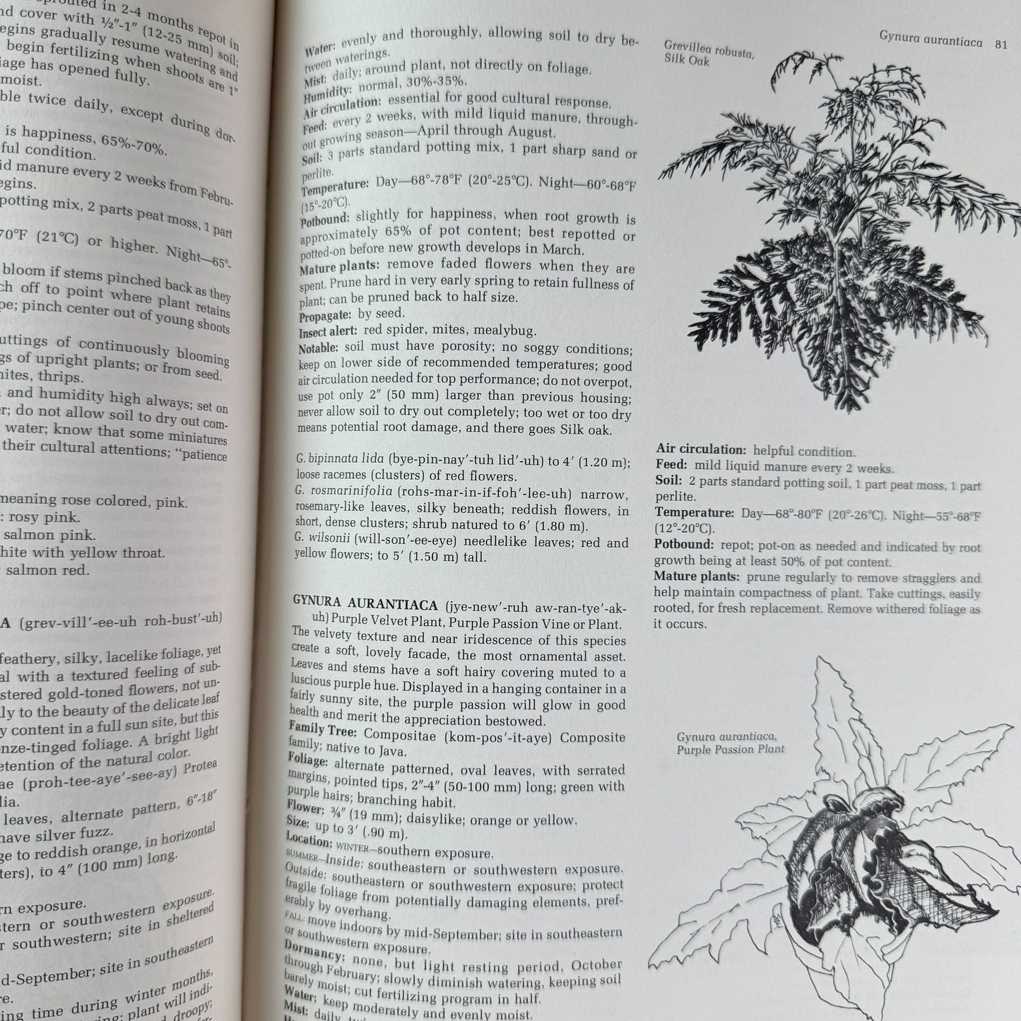 Indoor Plants: Comprehensive Care and Culture, Doris F. Hirsch, 1977