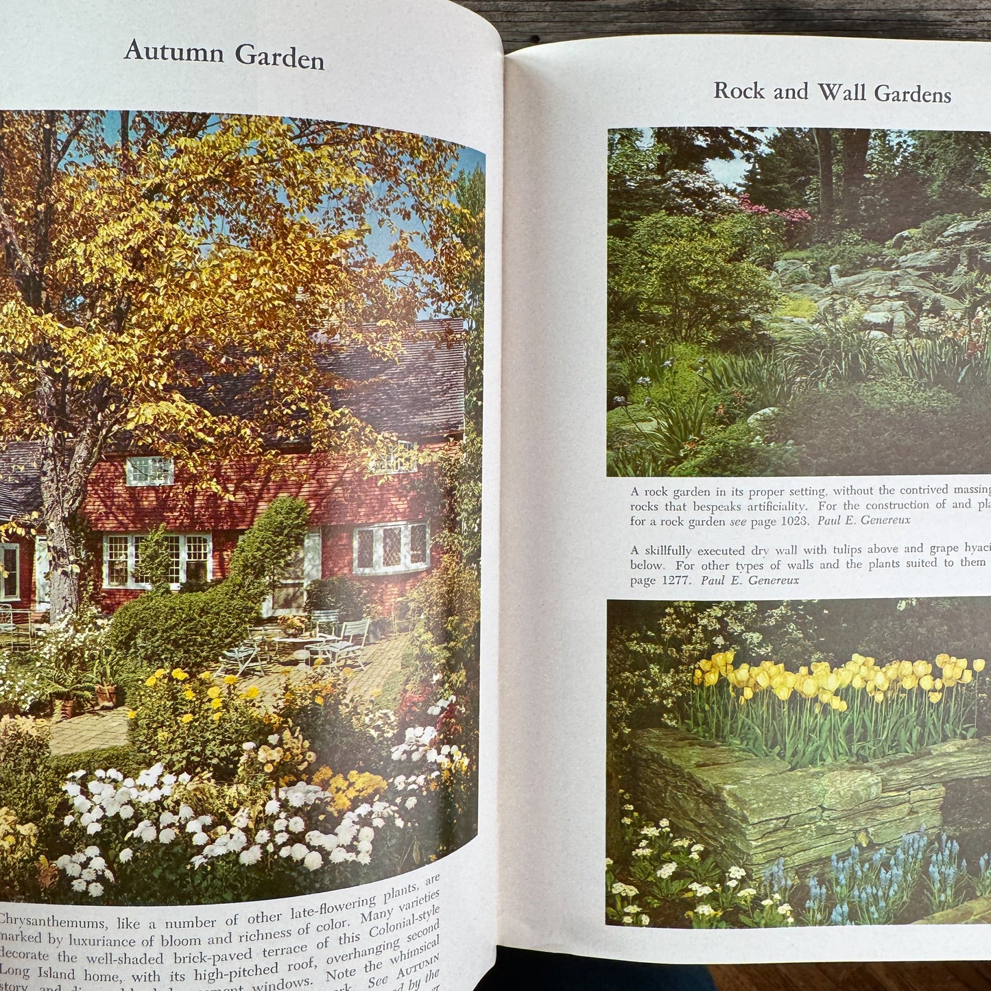 Taylor's Encyclopedia of Gardening (4th Ed.), 1961